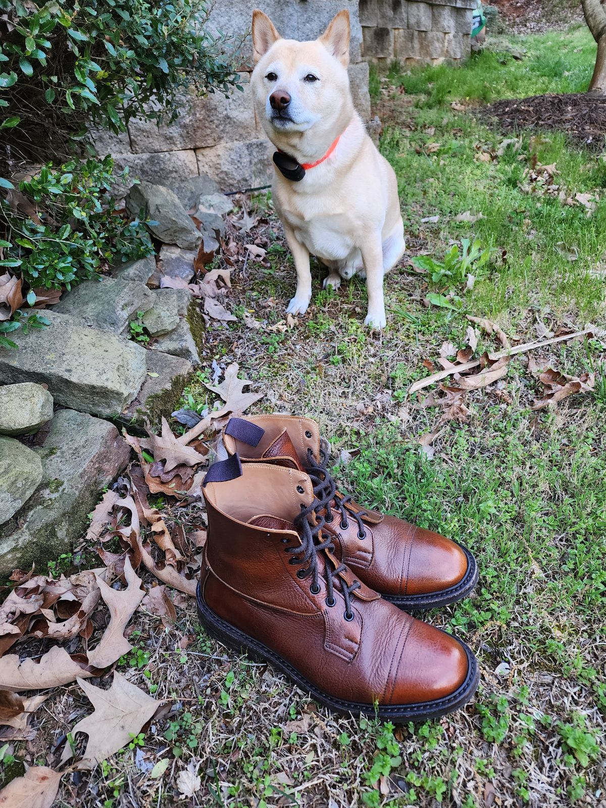 Photo by stylenwby on April 4, 2024 of the Tricker's Grassmere Country Boot in C.F. Stead Caramel Kudu Classic.