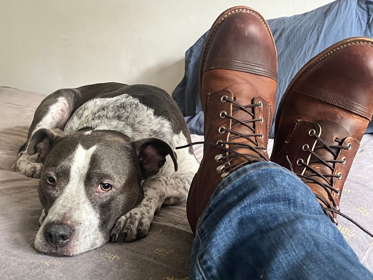 Photo by illclassico on September 24, 2023 of the Red Wing Iron Ranger in S.B. Foot Copper Rough and Tough.