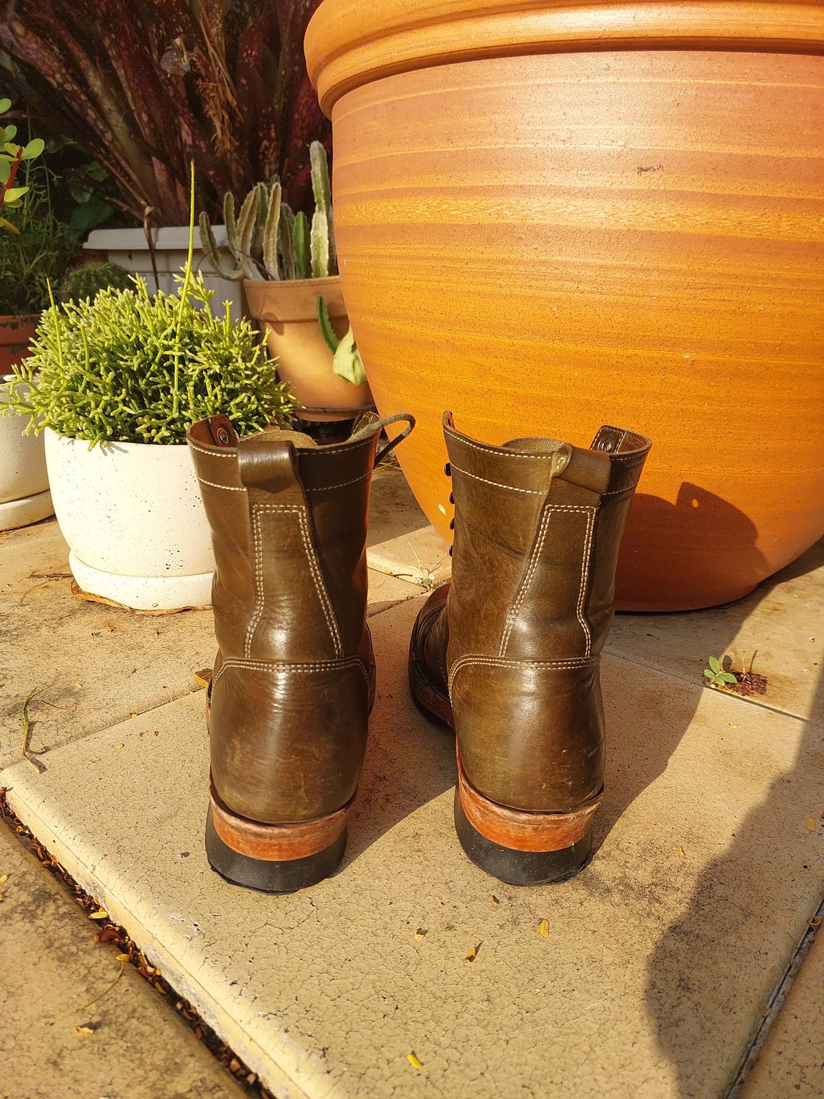 Photo by Togebough on March 4, 2023 of the Jakkrabbits Field Boots in Badalassi Carlo Oliva Pueblo.