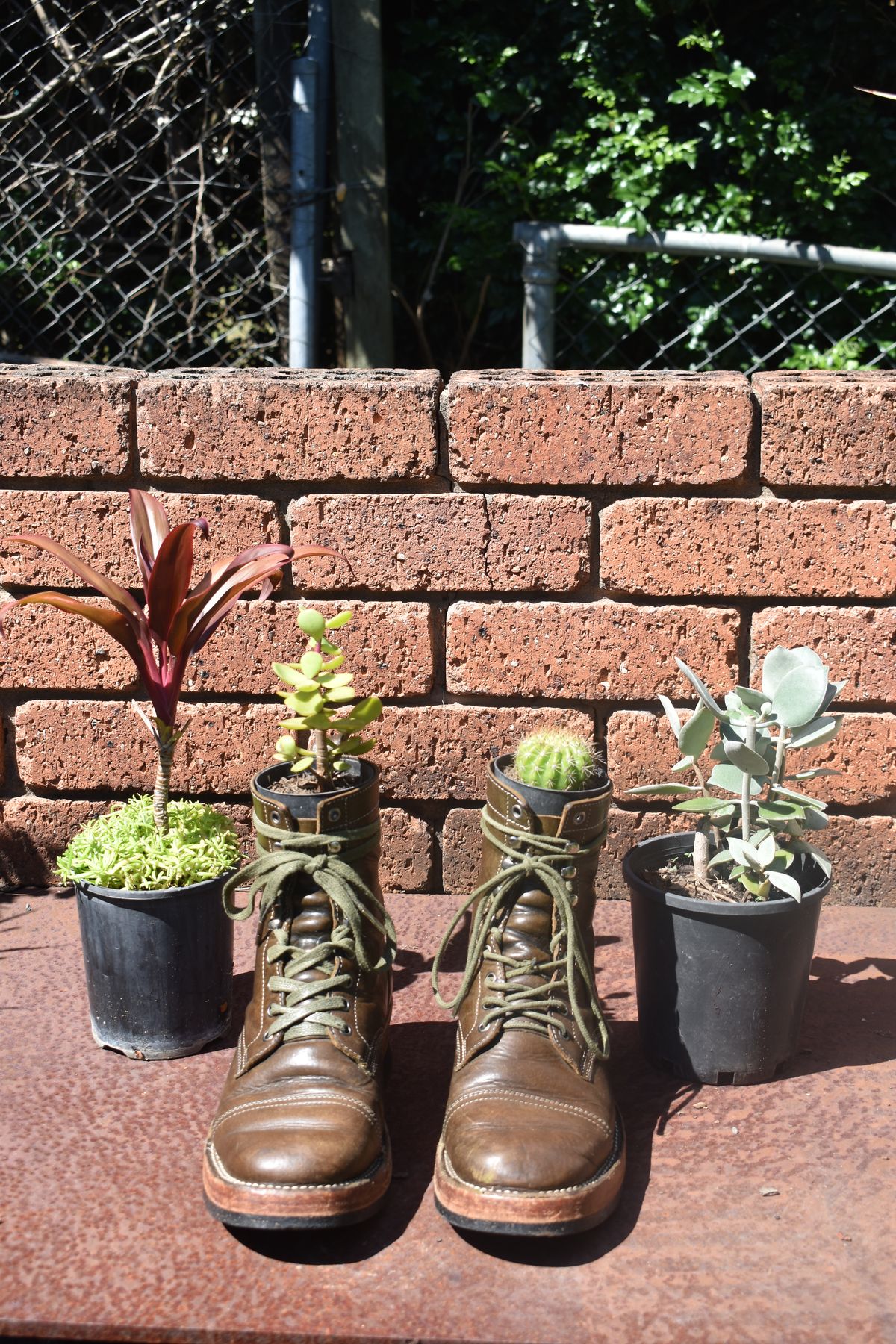 Photo by Togebough on April 3, 2023 of the Jakkrabbits Field Boots in Badalassi Carlo Oliva Pueblo.
