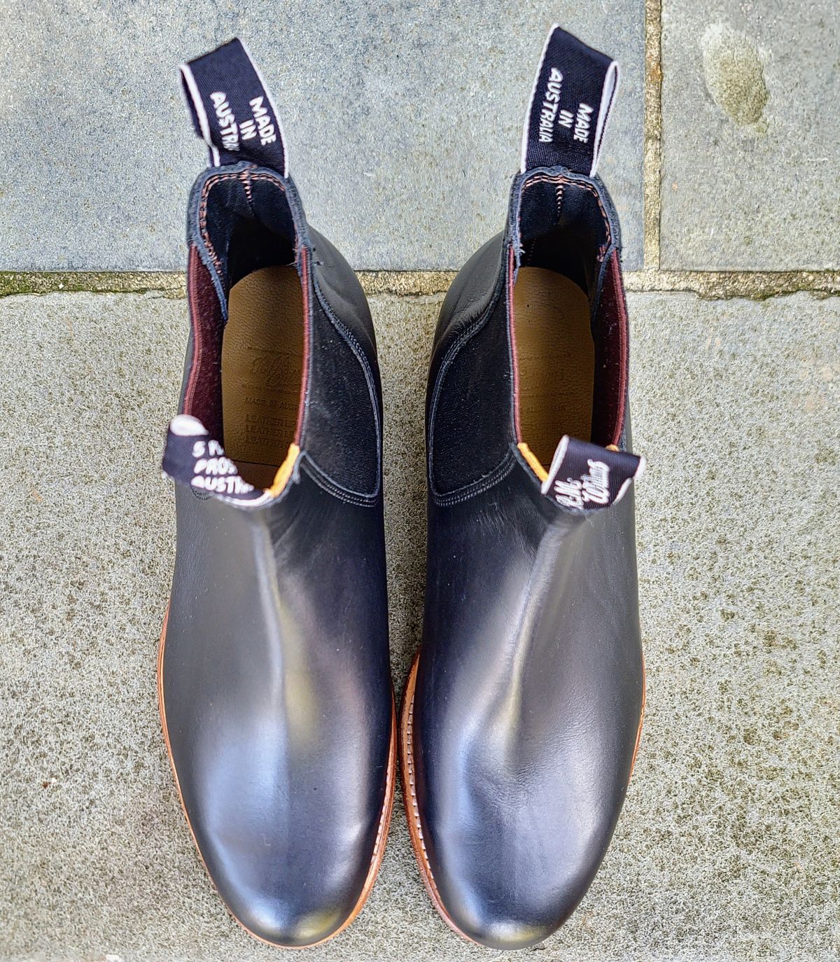 Photo by ouroboros3031 on November 9, 2023 of the R.M. Williams Classic Turnout Boot in Black Yearling.