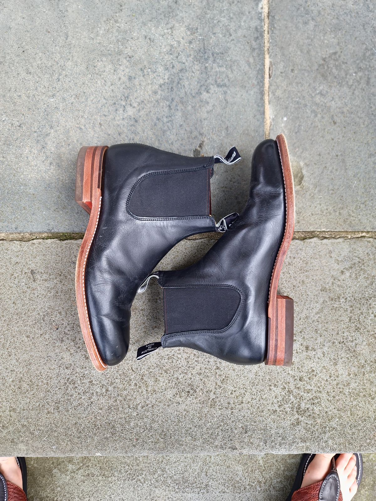 Photo by ouroboros3031 on December 6, 2023 of the R.M. Williams Classic Turnout Boot in Black Yearling.