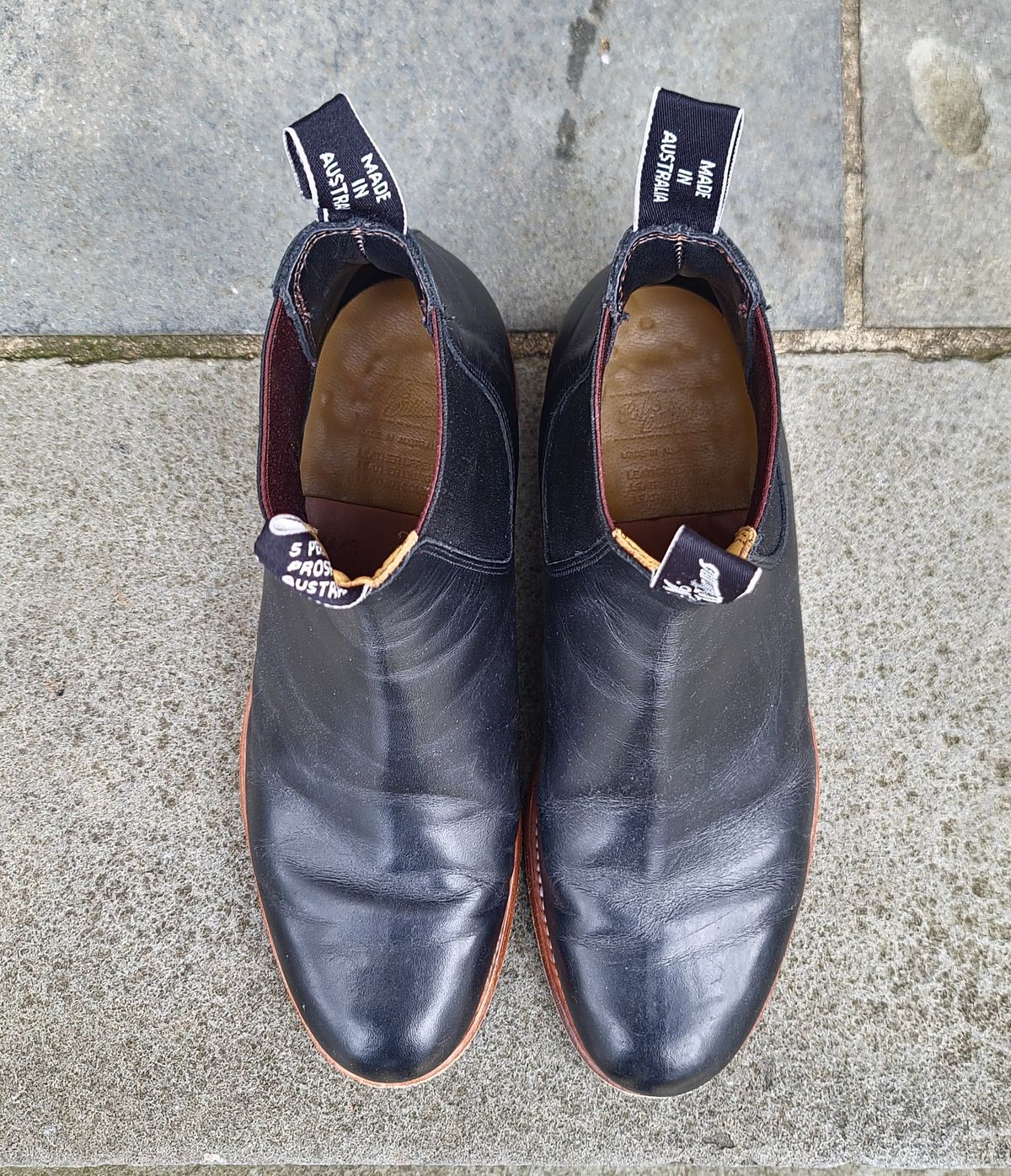 Photo by ouroboros3031 on December 6, 2023 of the R.M. Williams Classic Turnout Boot in Black Yearling.