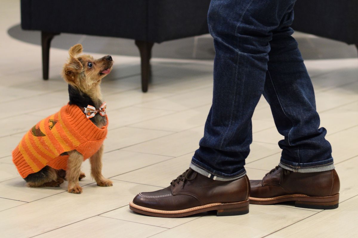 Photo by Louishere on October 6, 2022 of the Alden Indy Boot in Horween Brown Chromexcel.