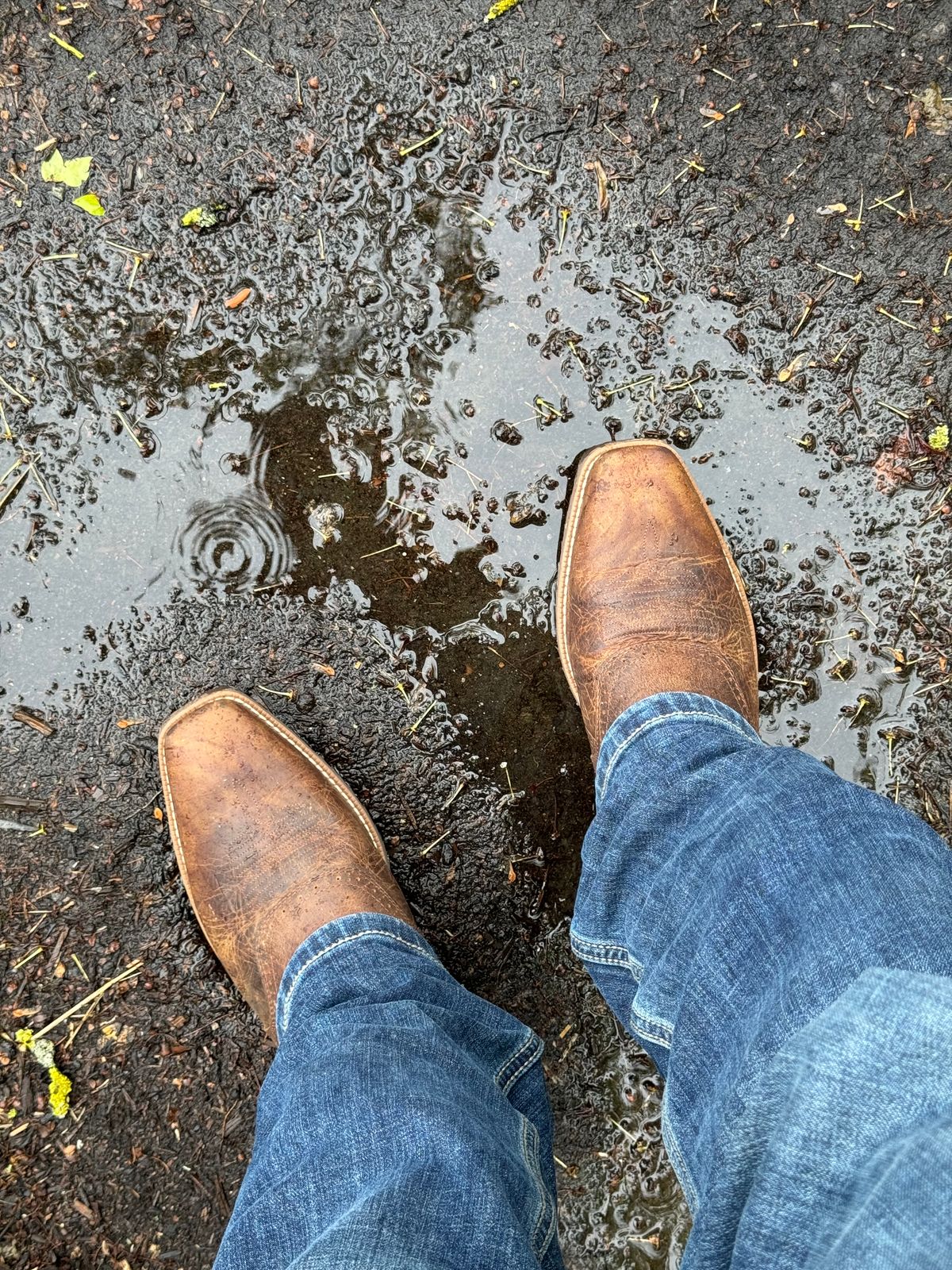 Photo by switch on May 5, 2024 of the Ariat Hybrid Roughstock in Fiery Brown Crunch.