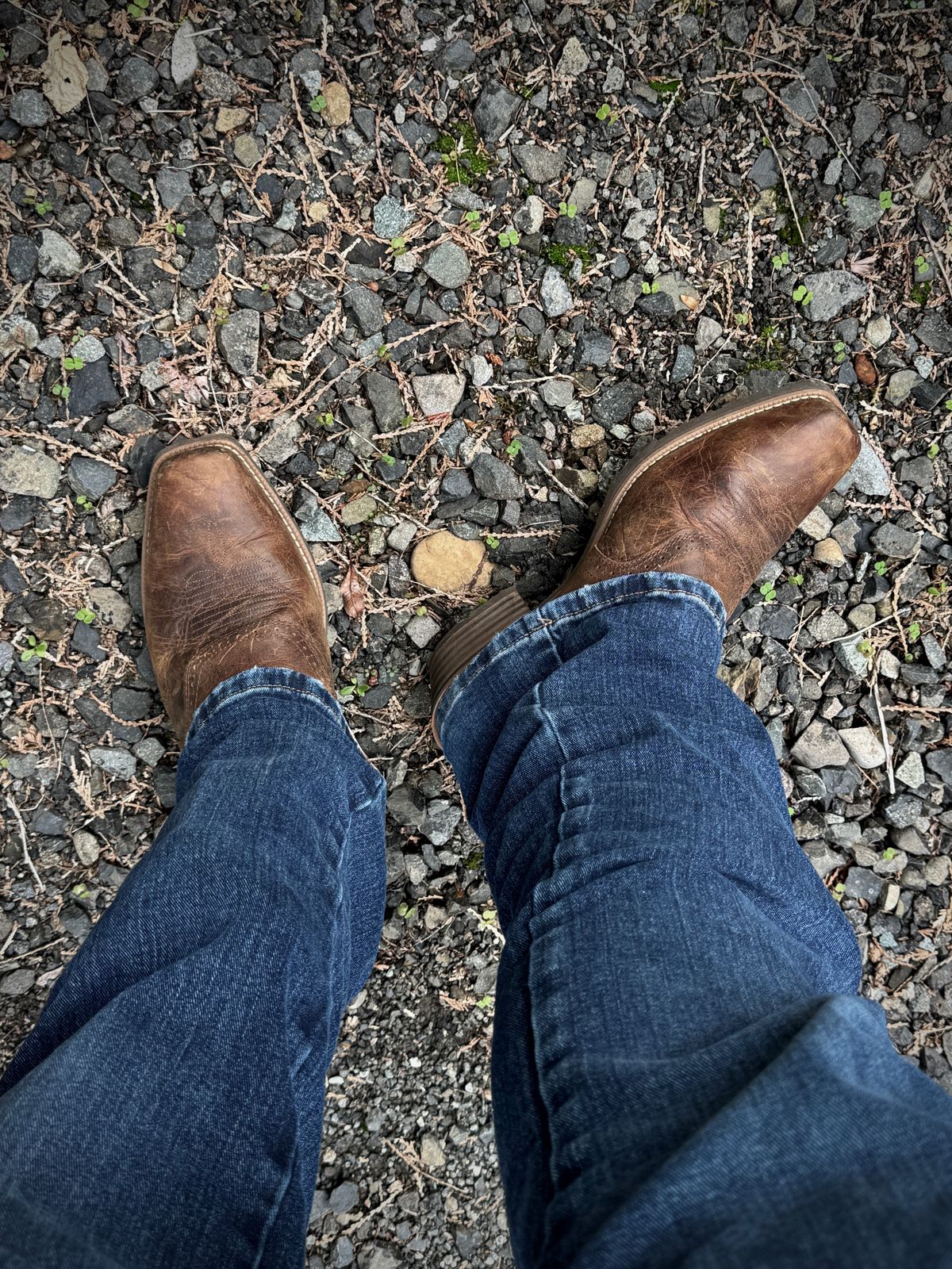 Photo by switch on October 8, 2024 of the Ariat Hybrid Roughstock in Fiery Brown Crunch.