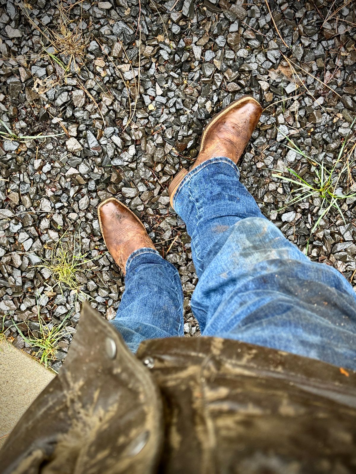 Photo by switch on November 2, 2024 of the Ariat Hybrid Roughstock in Fiery Brown Crunch.