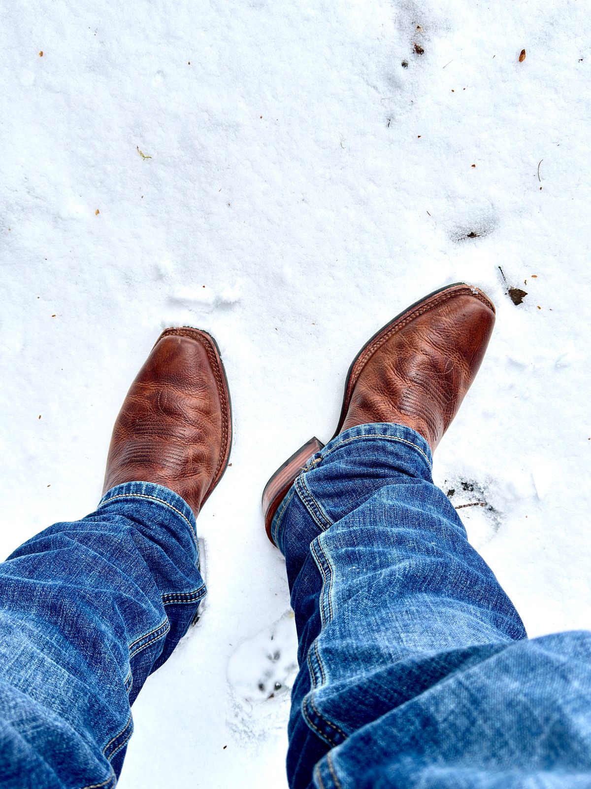 Photo by switch on February 14, 2025 of the Tecovas The Parker in Briar Bullhide.