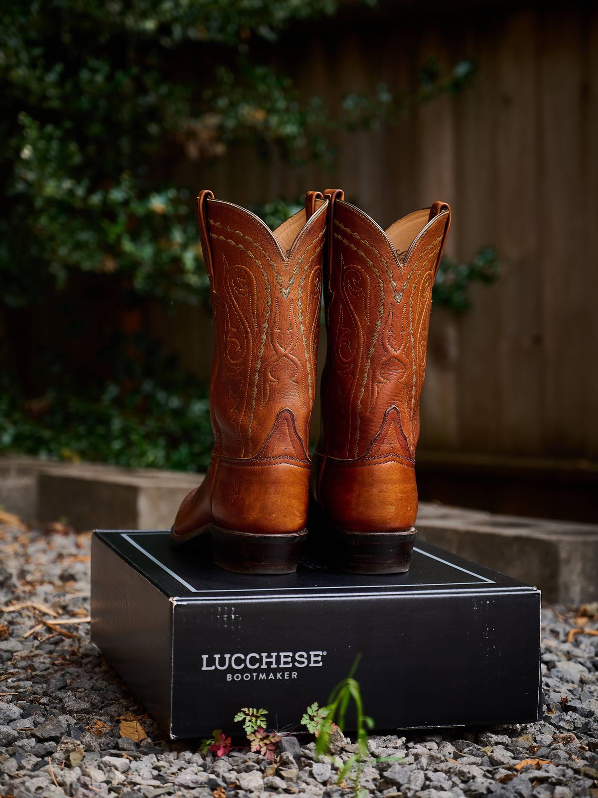 Photo by switch on April 1, 2024 of the Lucchese Cowboy Boots in Bison.