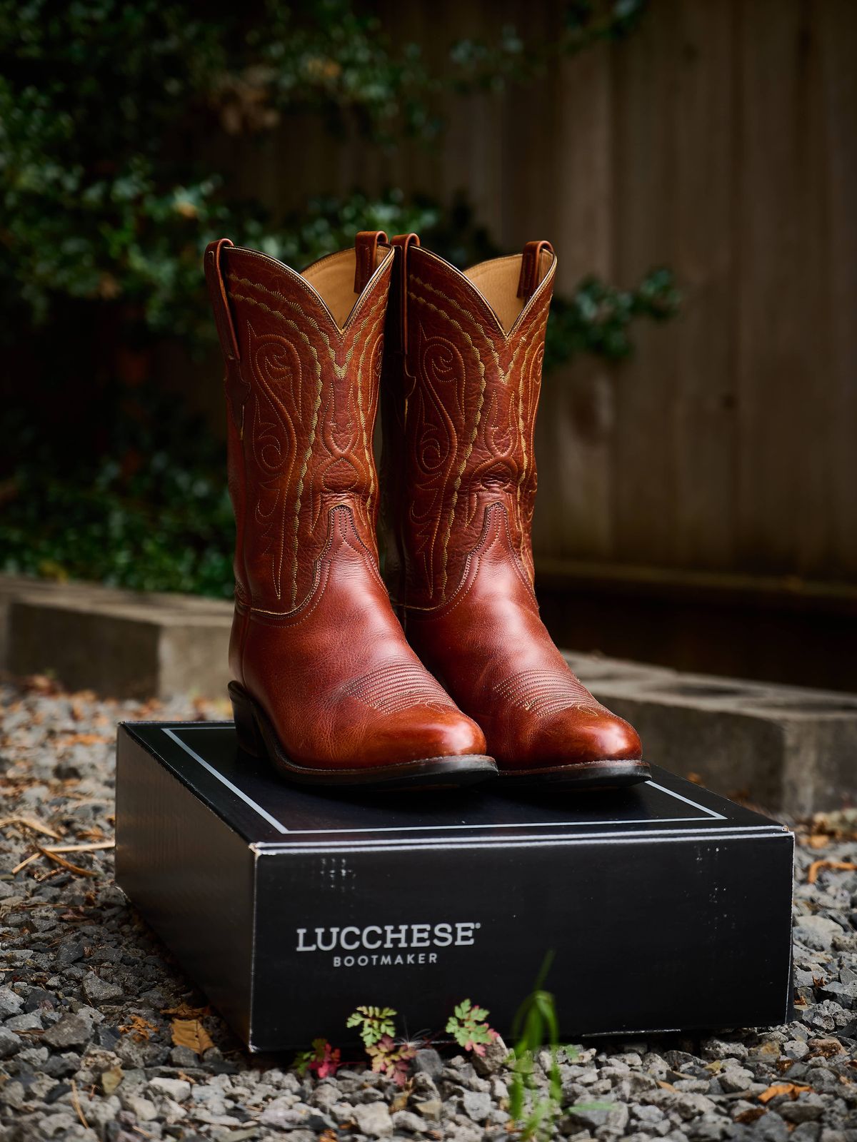 Photo by switch on April 2, 2024 of the Lucchese Cowboy Boots in Bison.