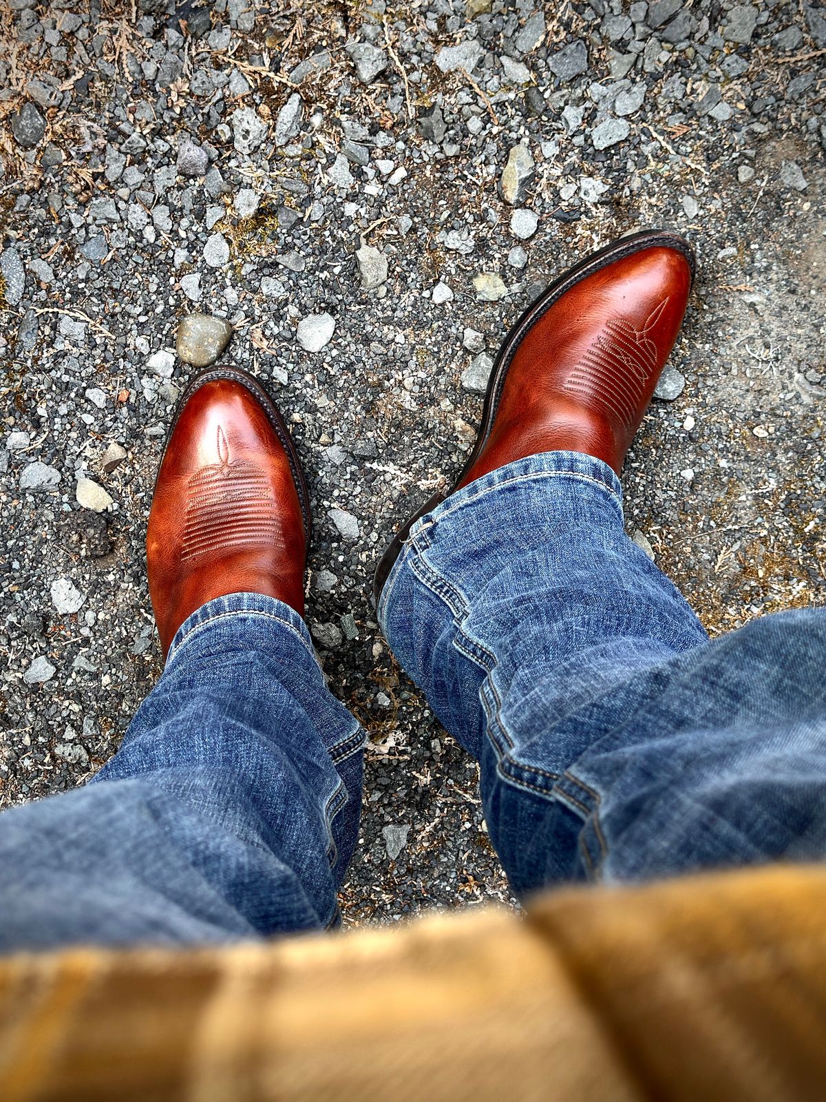 Photo by switch on June 15, 2025 of the Lucchese Cowboy Boots in Bison.