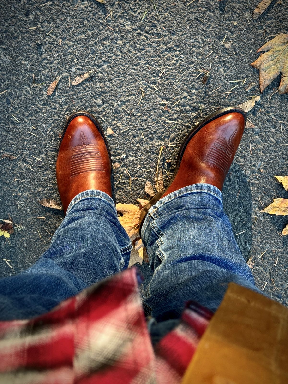 Photo by switch on October 15, 2025 of the Lucchese Cowboy Boots in Bison.
