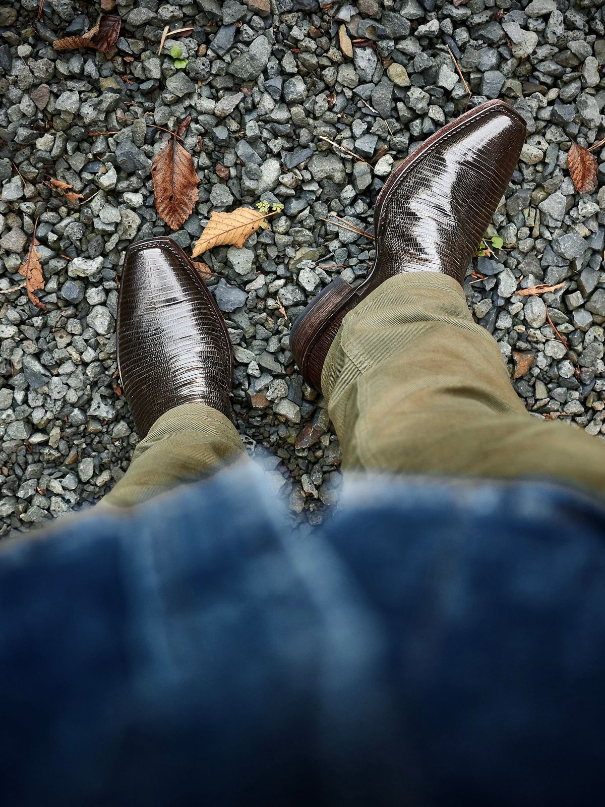 Photo by switch on October 5, 2025 of the Tecovas The Thomas Rhett Lankford in Teju Lizard.