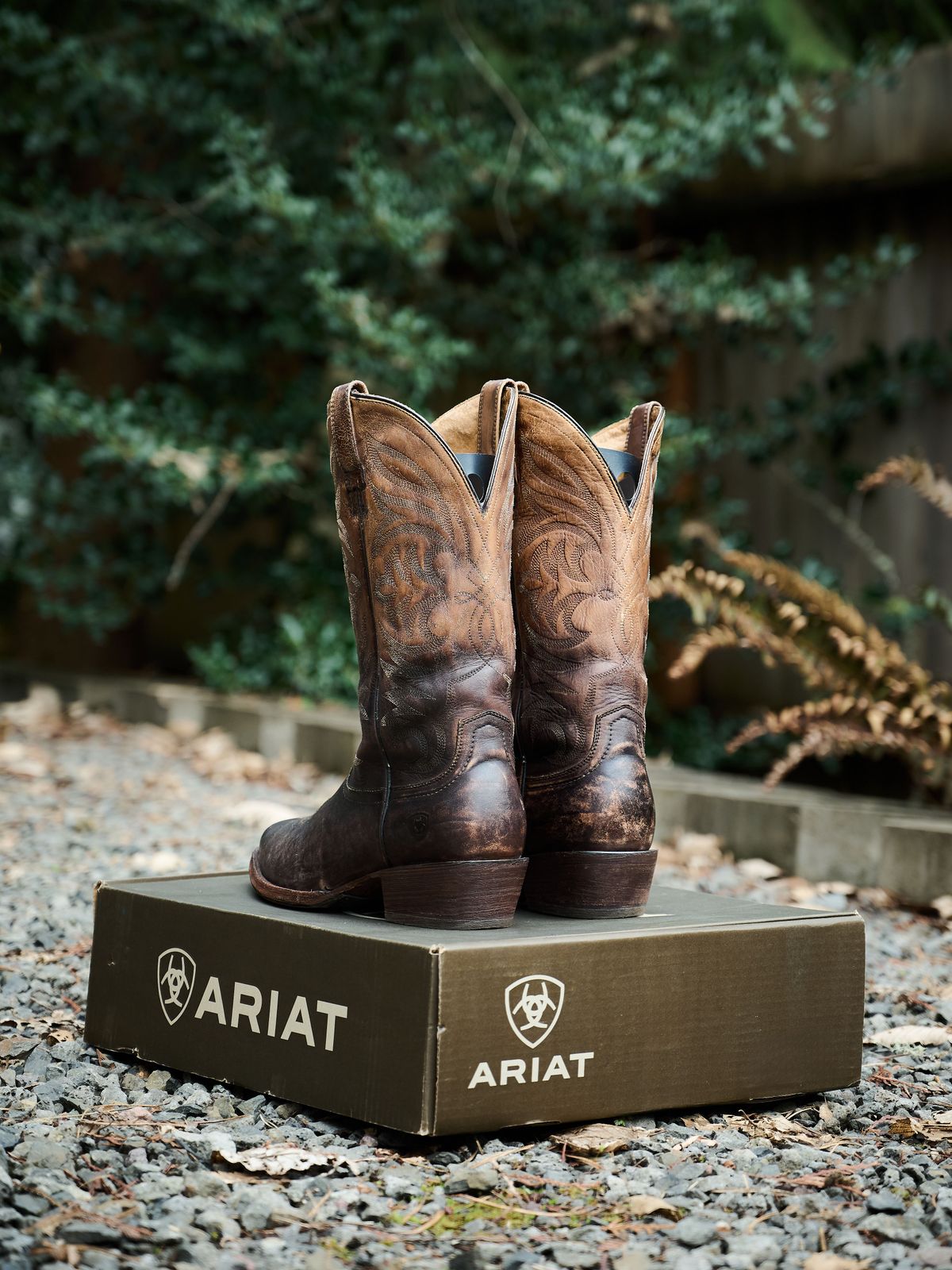 Photo by switch on March 8, 2024 of the Ariat Breakthrough Ombre - Chocolate in Unknown Material.