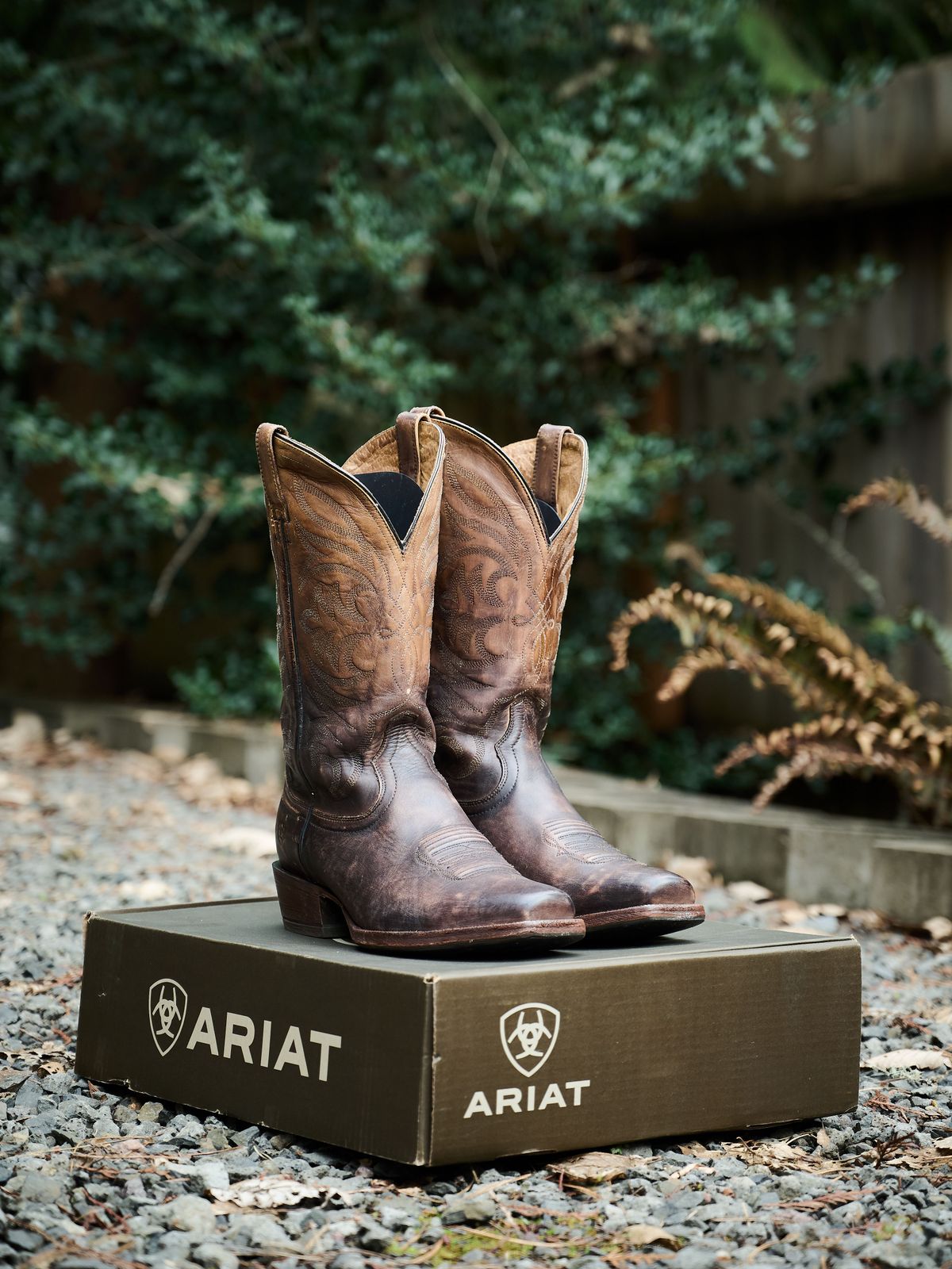 Photo by switch on March 10, 2024 of the Ariat Breakthrough Ombre - Chocolate in Unknown Material.