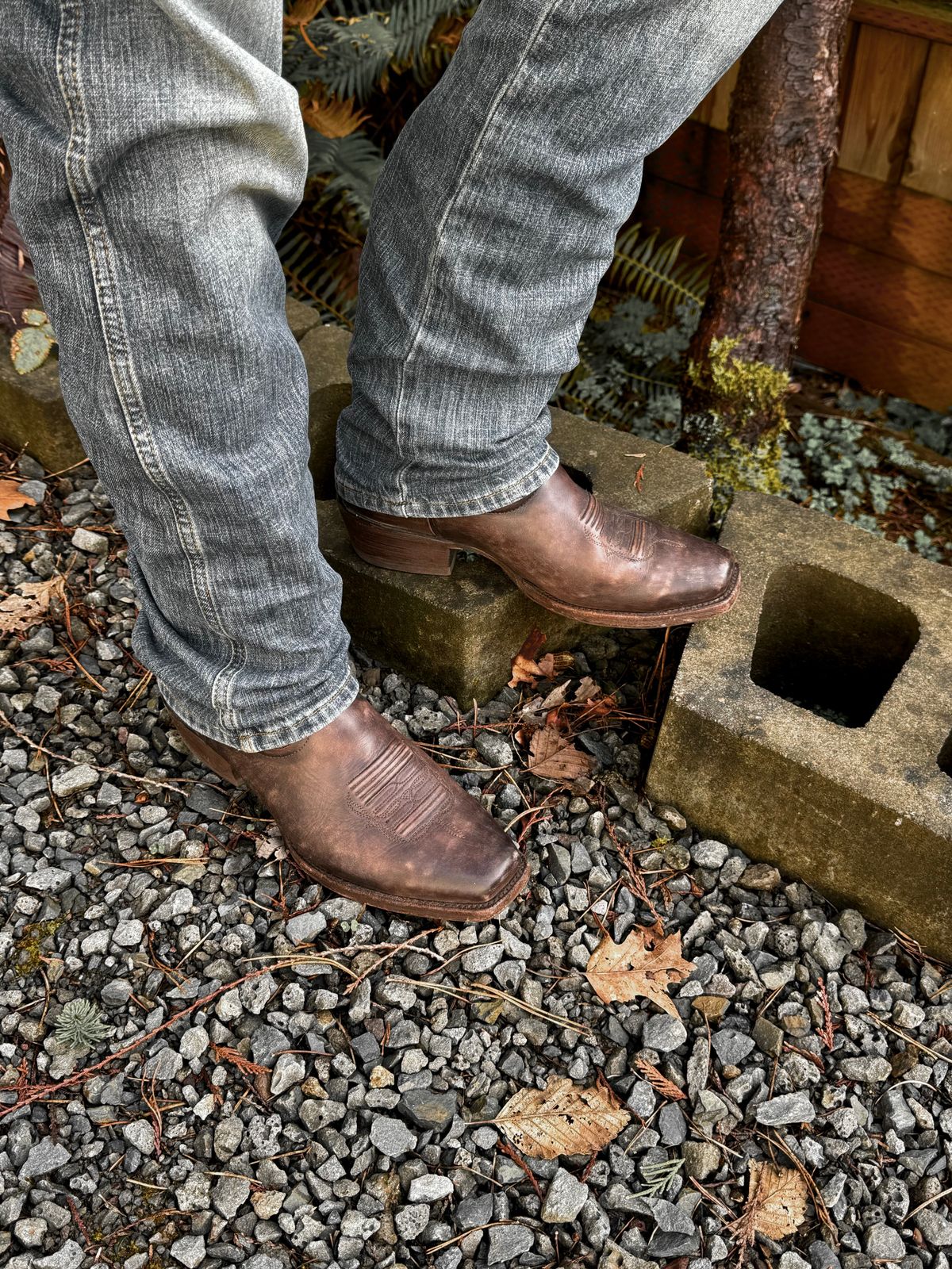 Photo by switch on March 27, 2024 of the Ariat Breakthrough Ombre - Chocolate in Unknown Material.