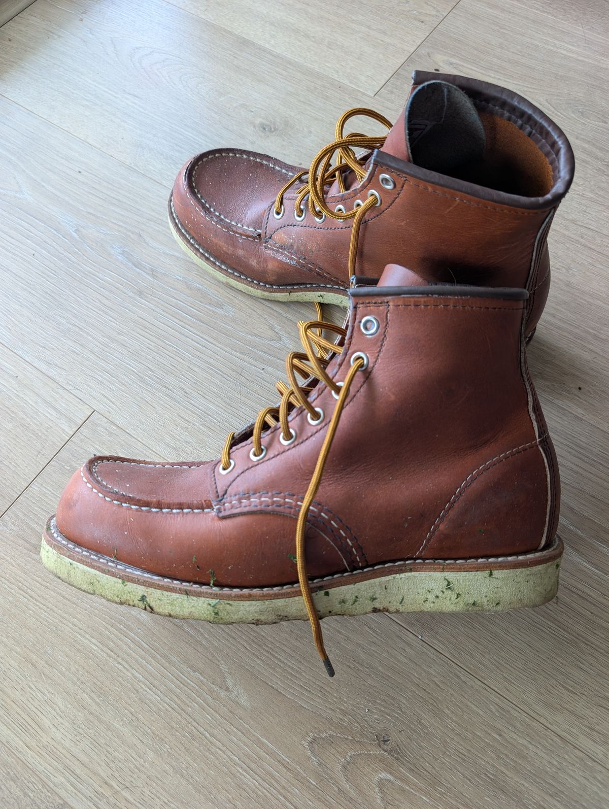 Photo by li.40 on October 26, 2025 of the Red Wing 6-Inch Classic Moc in S.B. Foot Oro Legacy.