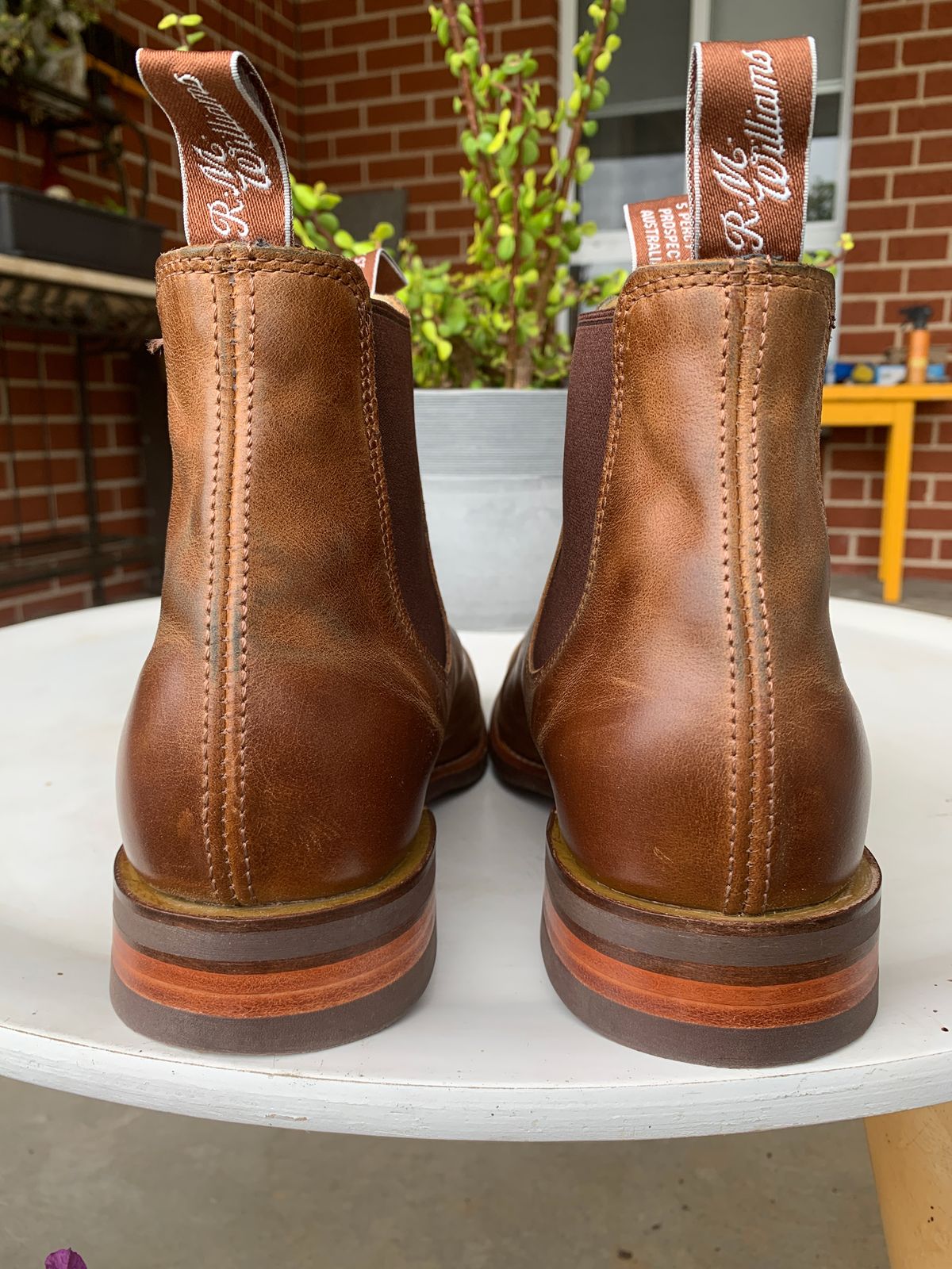 Photo by Thelifeofsomeguysboots on November 1, 2022 of the R.M. Williams Comfort Craftsman Boot in Caramel Pull-Up Leather.