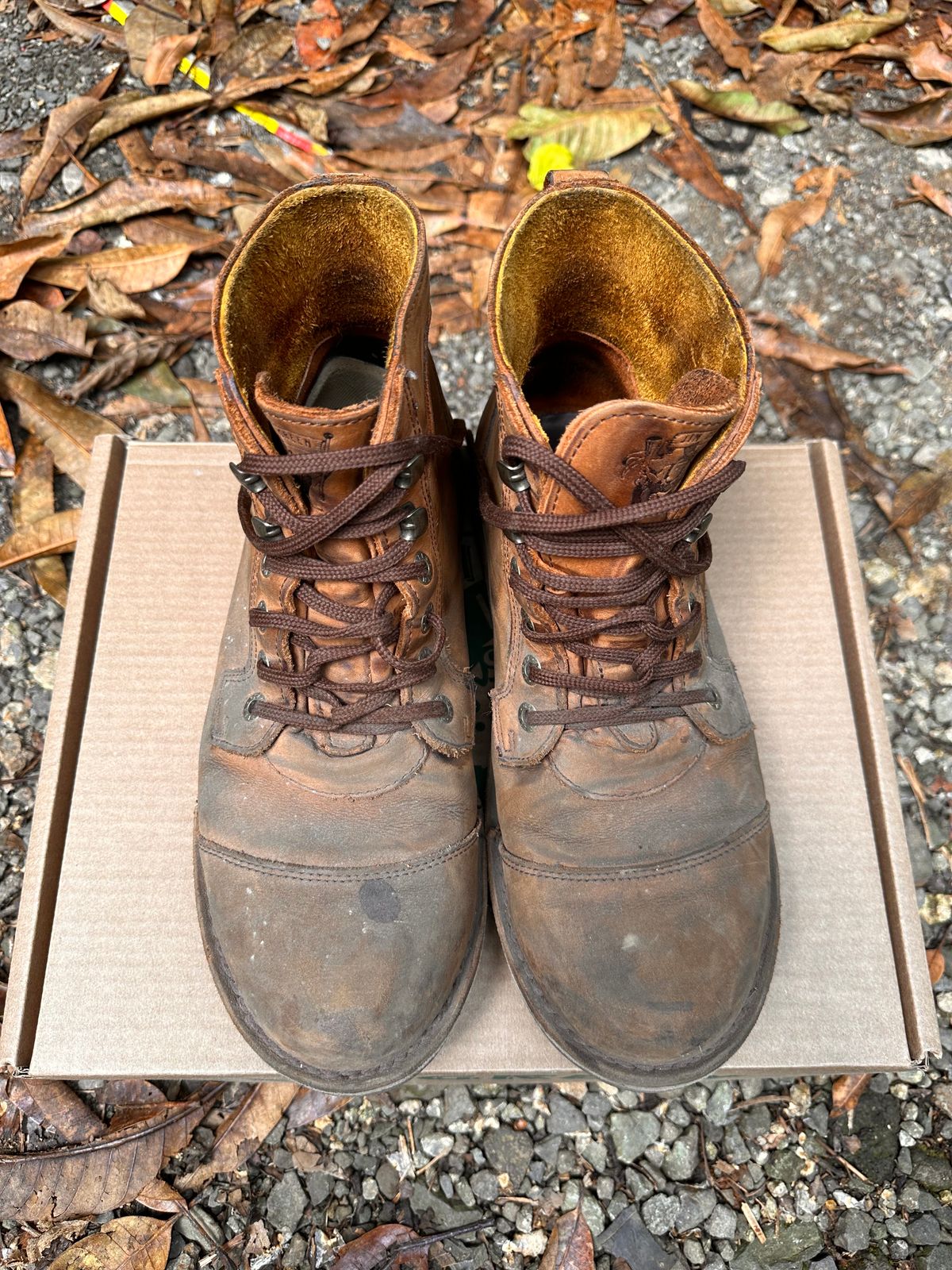 Photo by jvibe on November 4, 2023 of the Jim Green Baobab Boot in Fudge Crazy Horse.