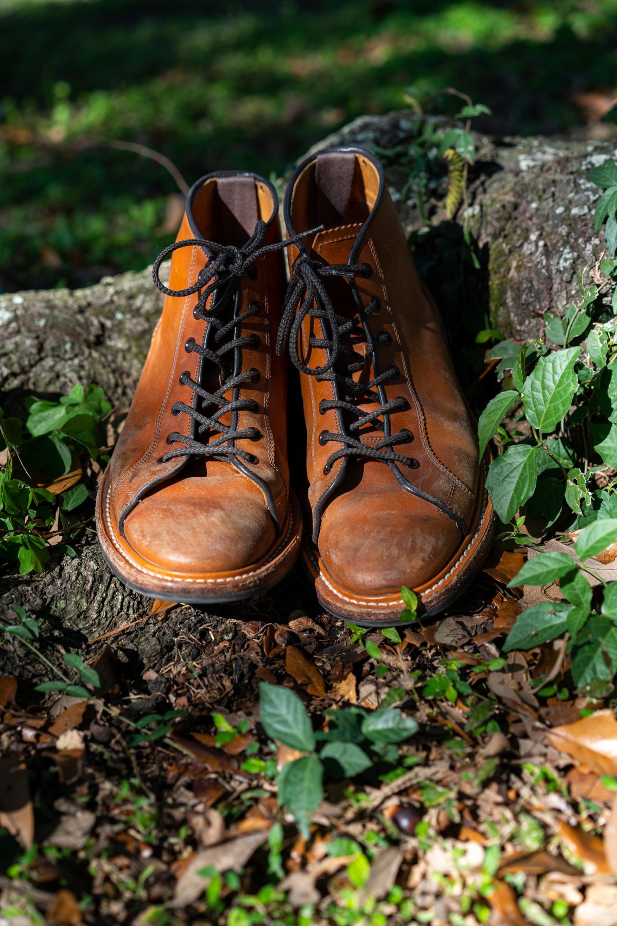 Photo by van504 on January 2, 2023 of the Tricker's Ethan Monkey Boot in Teck Shell Cordovan.