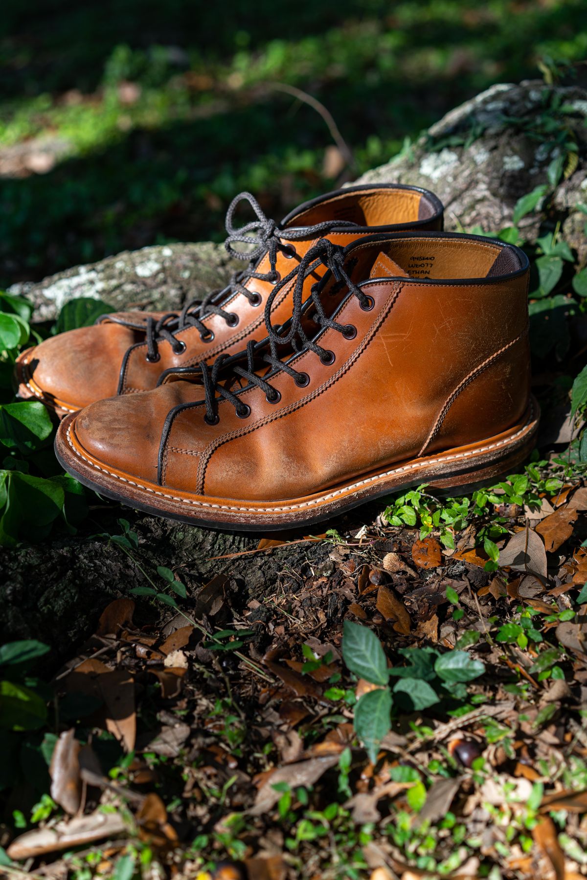 Photo by van504 on January 2, 2023 of the Tricker's Ethan Monkey Boot in Teck Shell Cordovan.