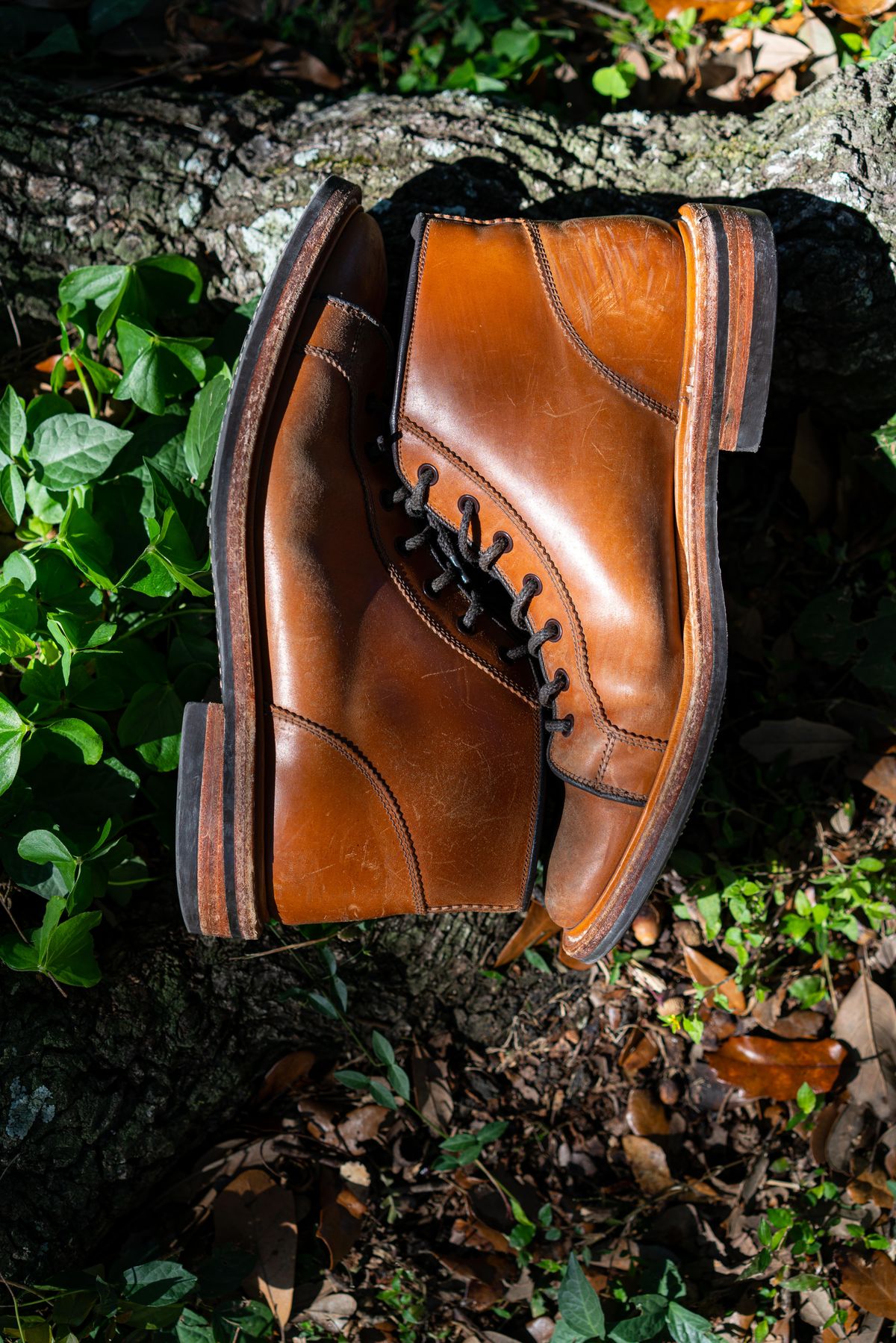 Photo by van504 on January 2, 2023 of the Tricker's Ethan Monkey Boot in Teck Shell Cordovan.