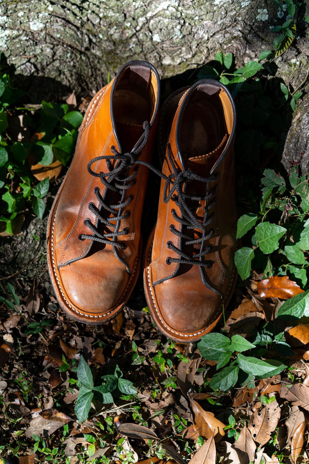 Photo by van504 on January 2, 2023 of the Tricker's Ethan Monkey Boot in Teck Shell Cordovan.