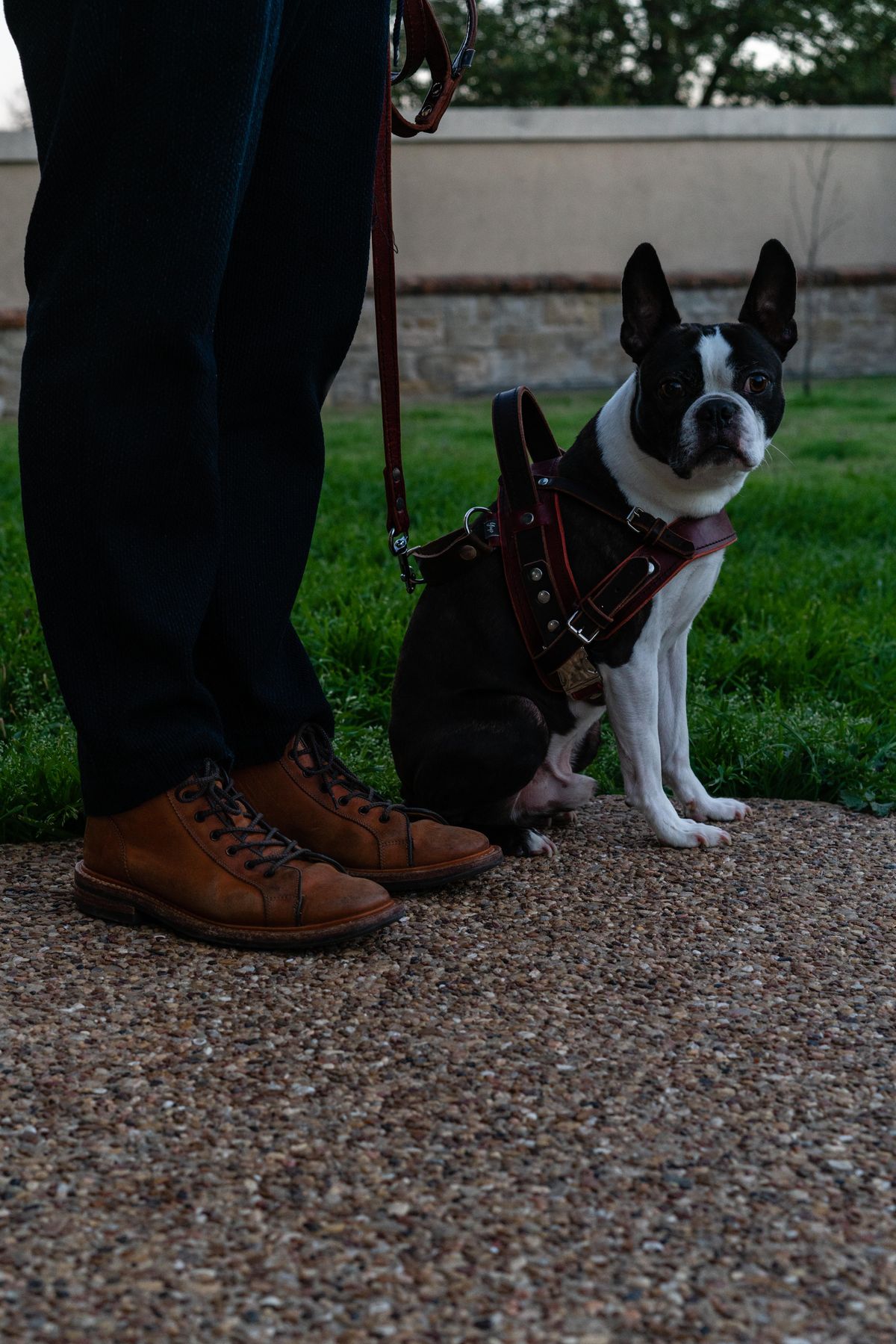 Photo by van504 on March 5, 2023 of the Tricker's Ethan Monkey Boot in Teck Shell Cordovan.