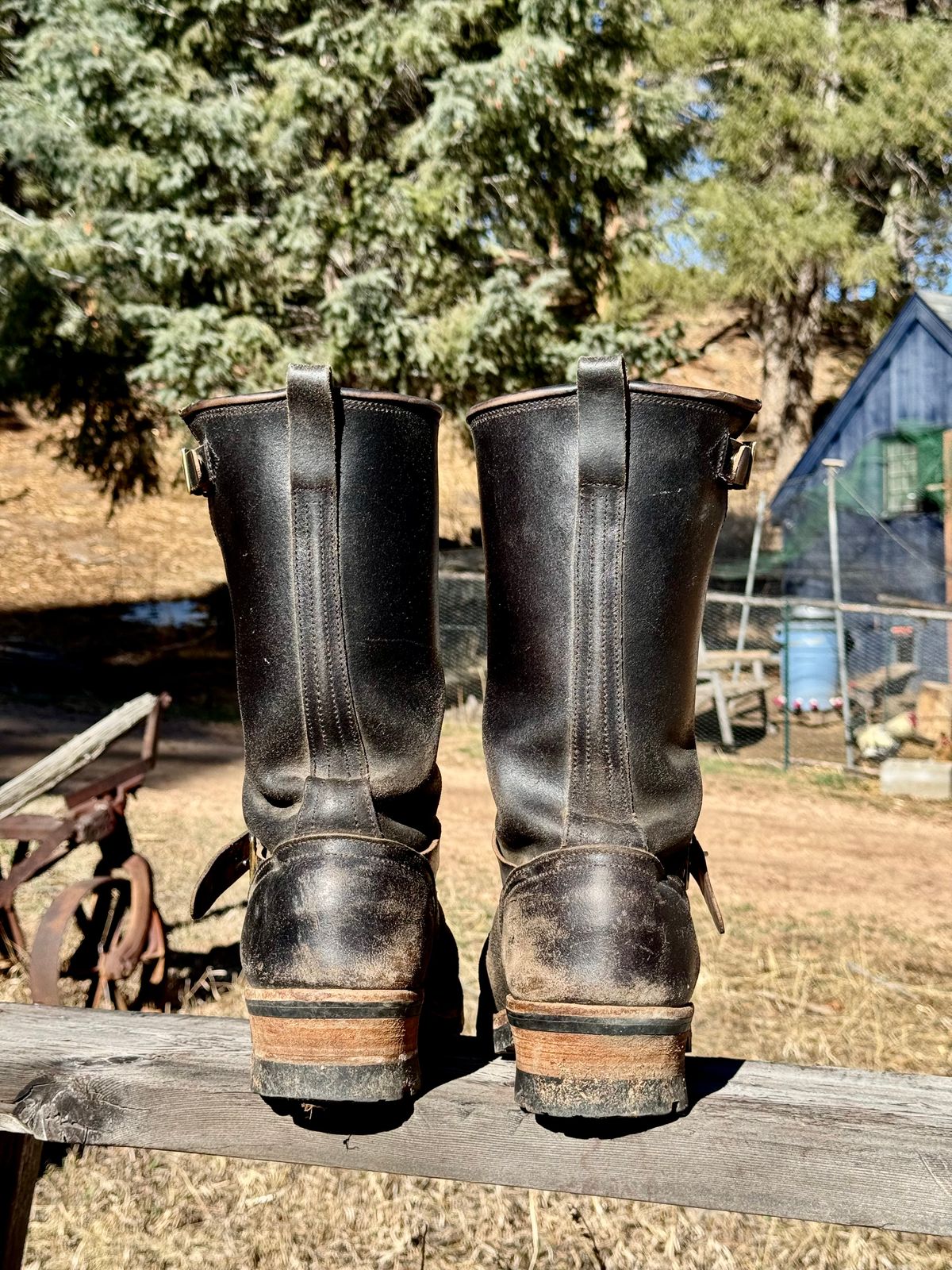Photo by zander on March 5, 2026 of the Nicks StationMaster in Horween Black Waxed Flesh.