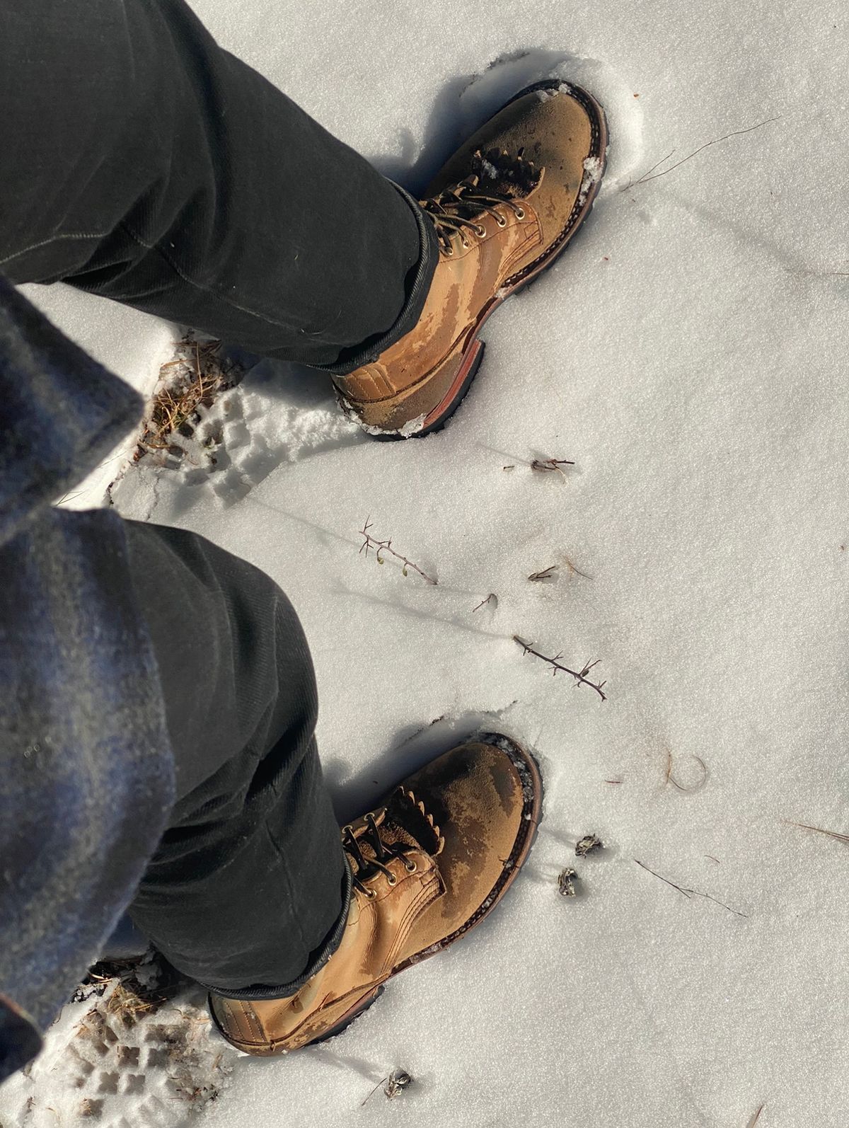 Photo by zander on December 4, 2022 of the Nicks BuilderPro in Seidel MaxSupport Tan Roughout.