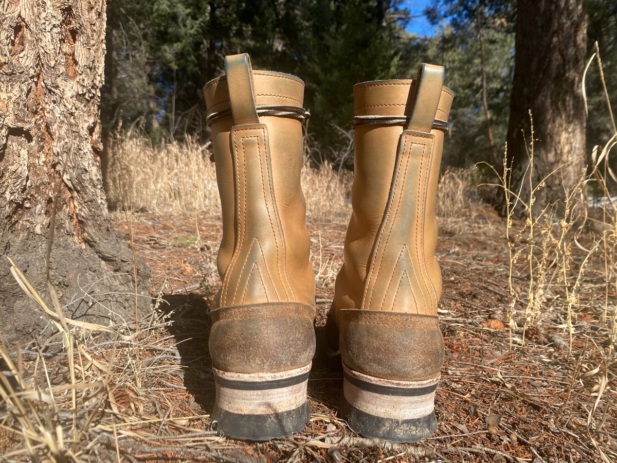 Photo by zander on February 6, 2023 of the Nicks BuilderPro in Seidel MaxSupport Tan Roughout.