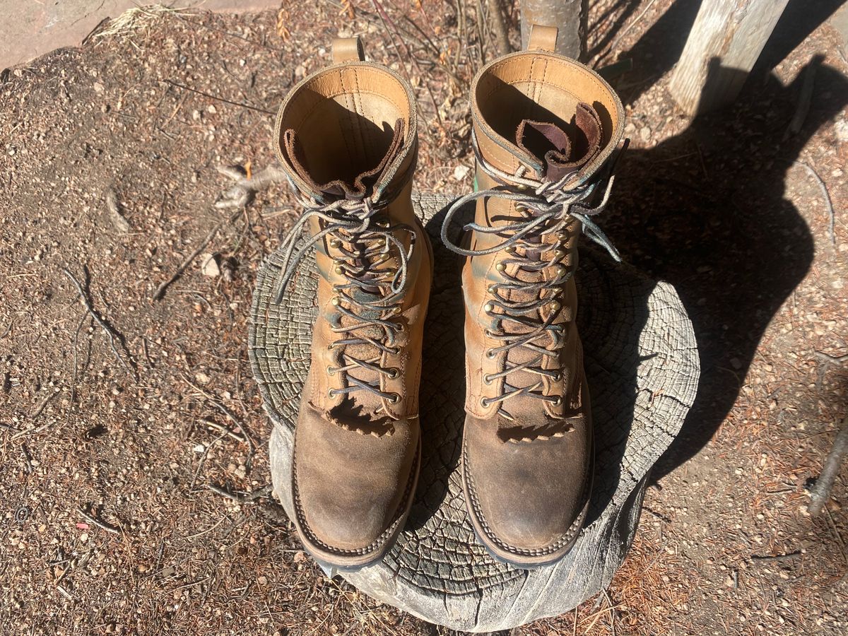 Photo by zander on March 6, 2023 of the Nicks BuilderPro in Seidel MaxSupport Tan Roughout.
