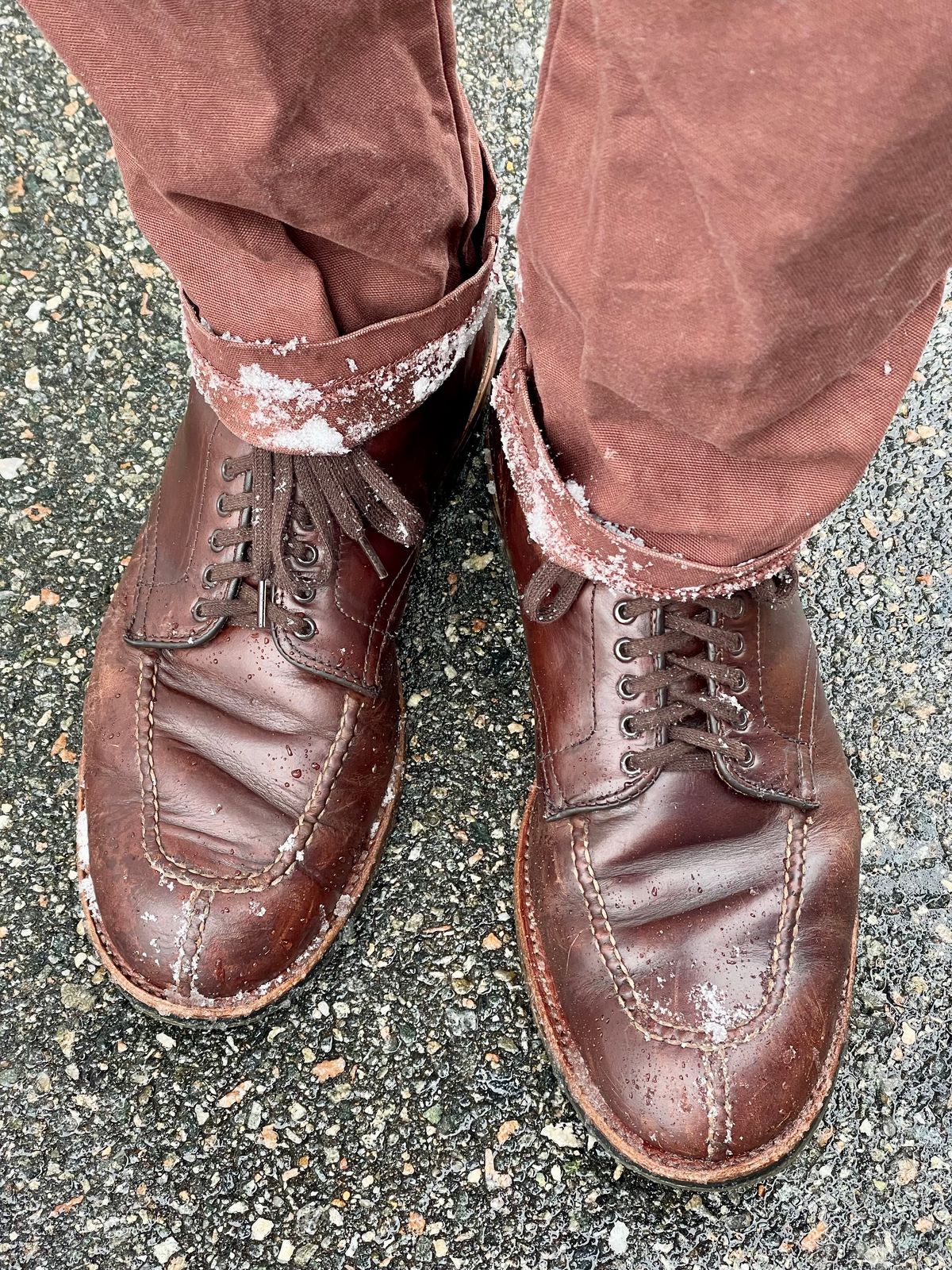 Photo by goodboots_badfeet on January 19, 2026 of the Alden x Brick + Mortar Brigadier Boot in Horween Brown Chromexcel.