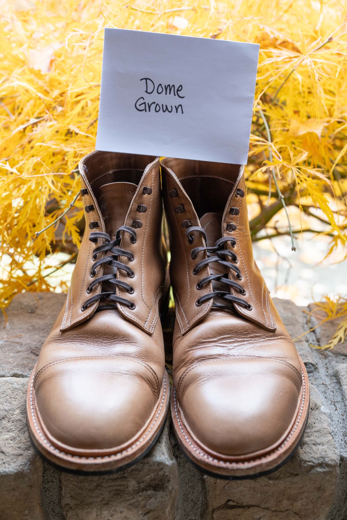 Photo by SparseConsolidation on November 9, 2023 of the Oak Street Bootmakers Lakeshore Boot in Horween Natural Chromexcel.