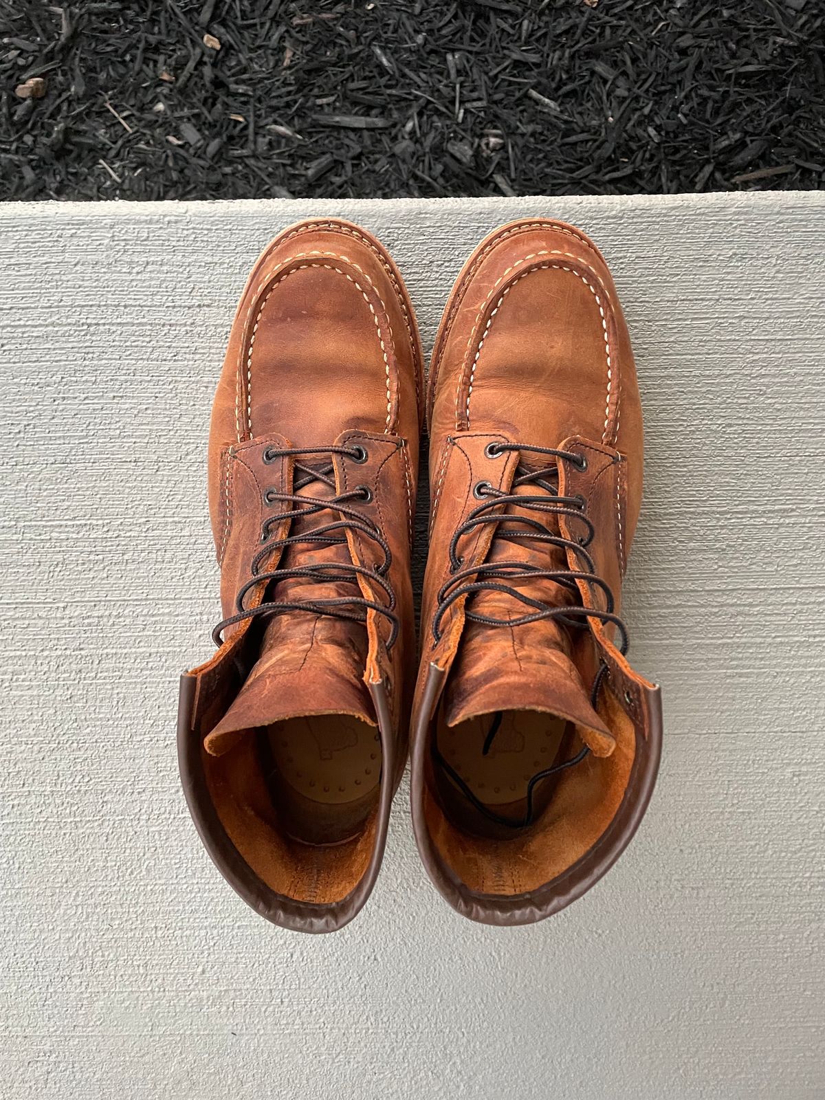 Photo by hconley on November 5, 2022 of the Red Wing 6-Inch Classic Moc in S.B. Foot Copper Rough and Tough.