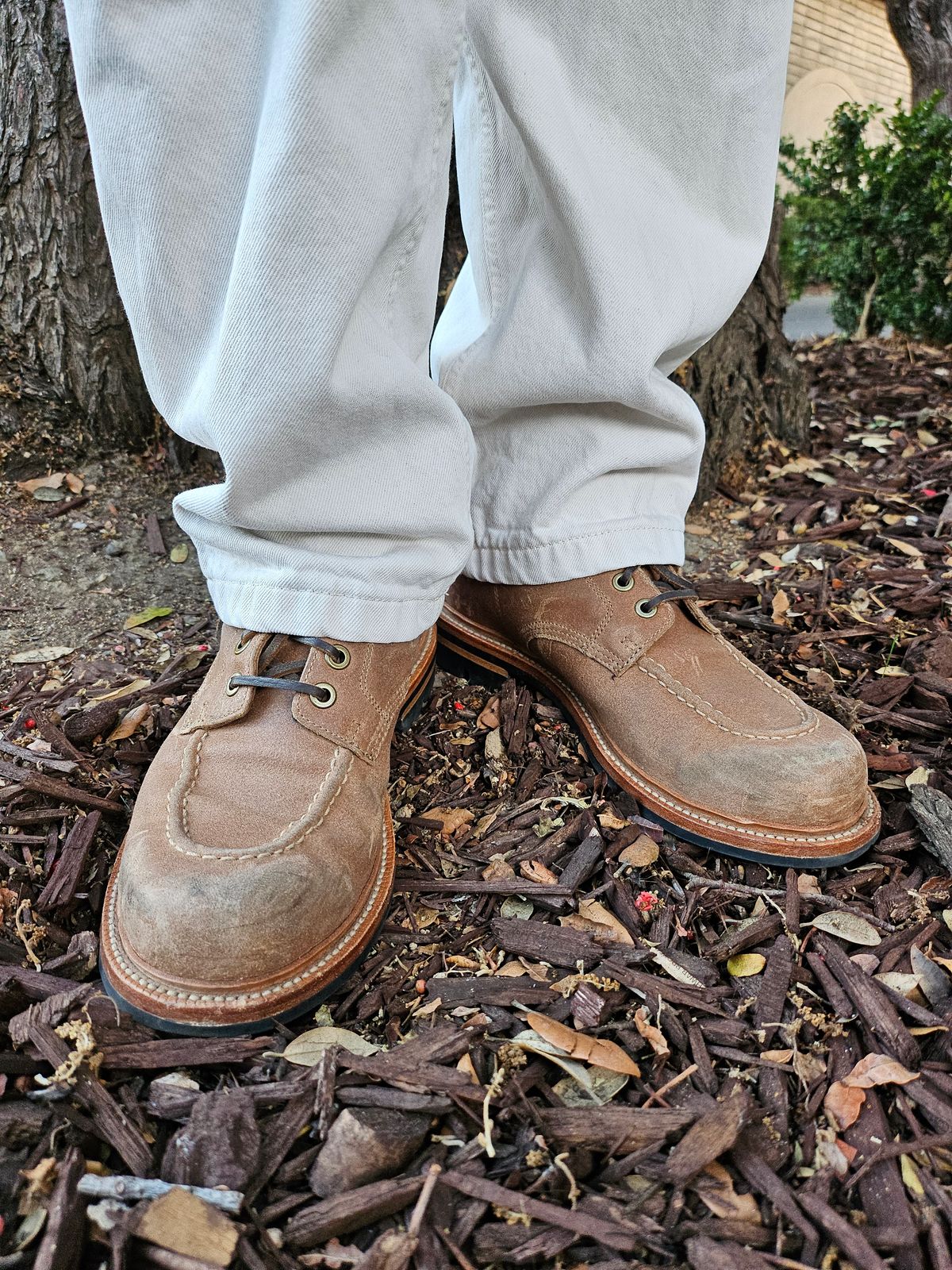 Photo by ttruong3 on November 5, 2023 of the Grant Stone Brass Boot in C.F. Stead Natural Waxy Commander Suede.