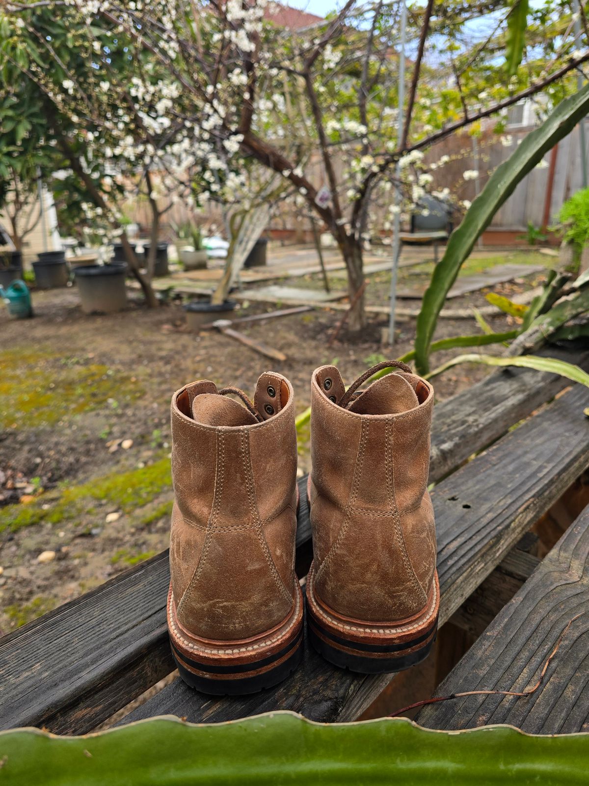 Photo by ttruong3 on March 4, 2024 of the Grant Stone Brass Boot in C.F. Stead Natural Waxy Commander Suede.