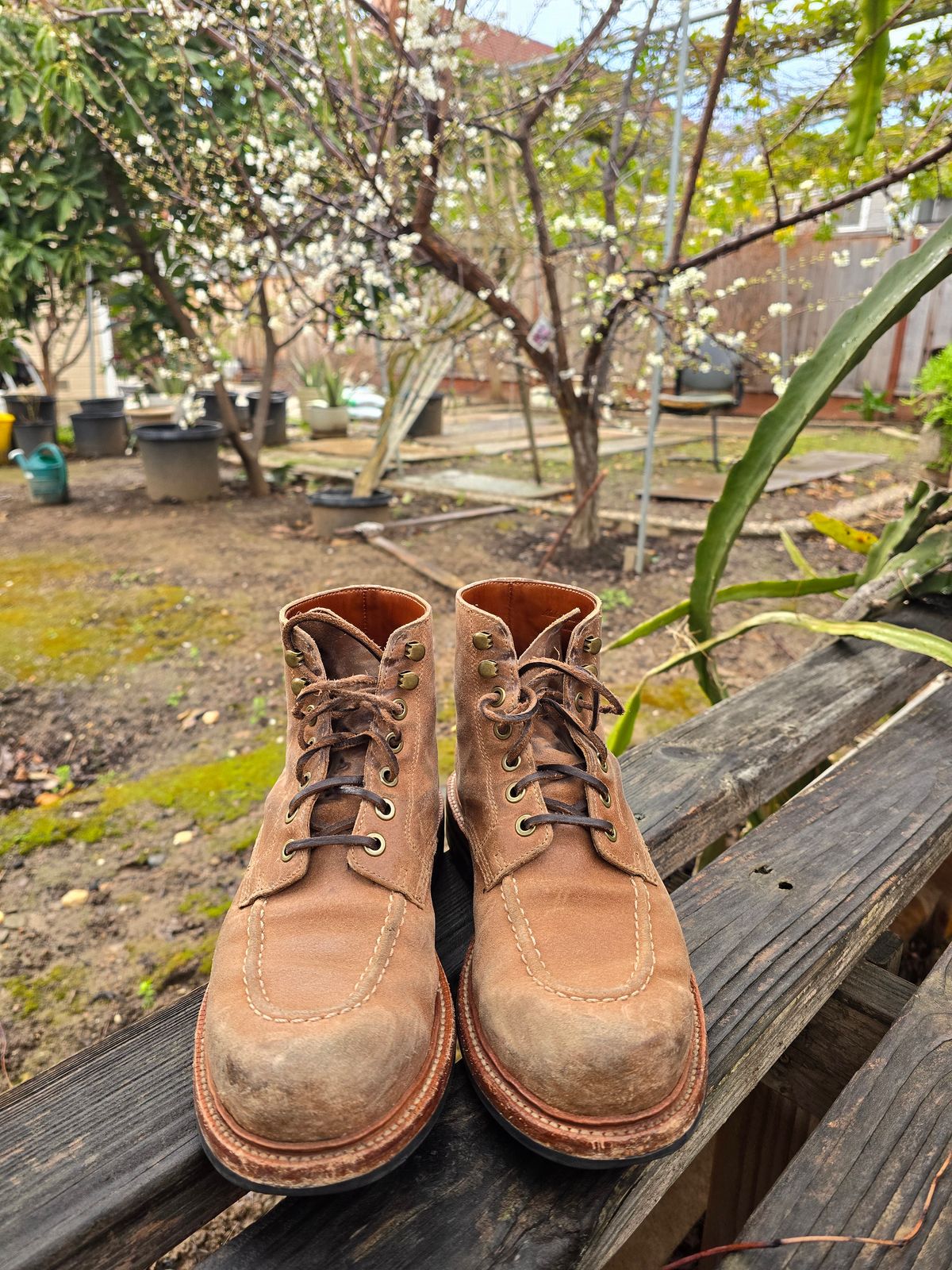 Photo by ttruong3 on March 4, 2024 of the Grant Stone Brass Boot in C.F. Stead Natural Waxy Commander Suede.