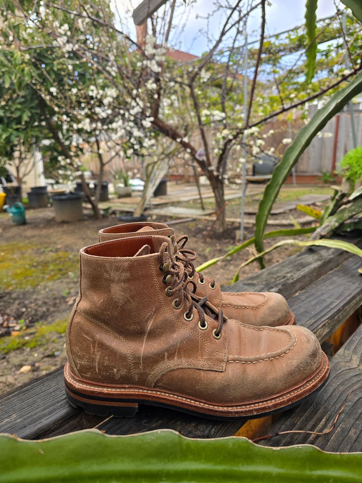 Photo by ttruong3 on March 4, 2024 of the Grant Stone Brass Boot in C.F. Stead Natural Waxy Commander Suede.