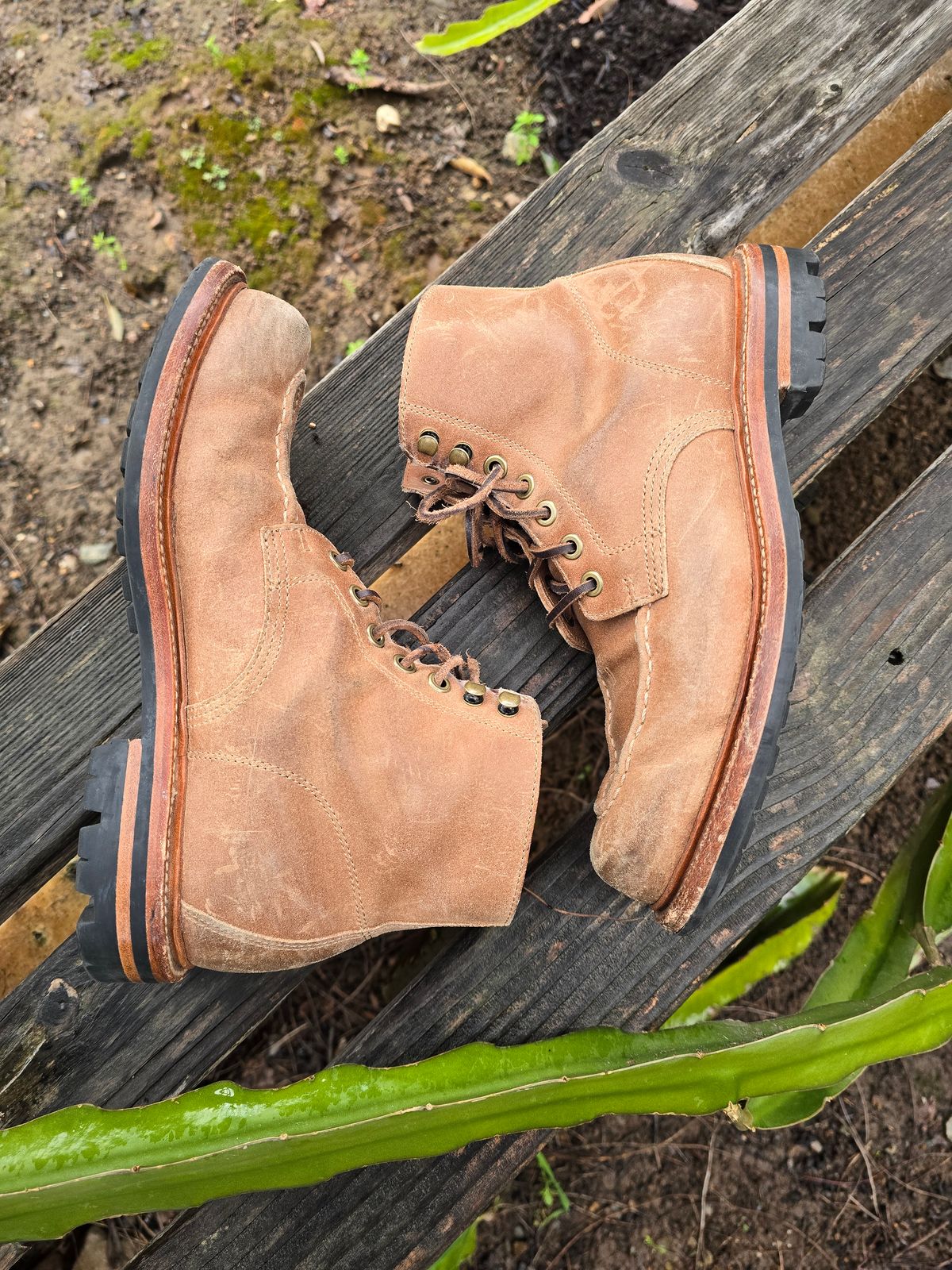 Photo by ttruong3 on March 4, 2024 of the Grant Stone Brass Boot in C.F. Stead Natural Waxy Commander Suede.