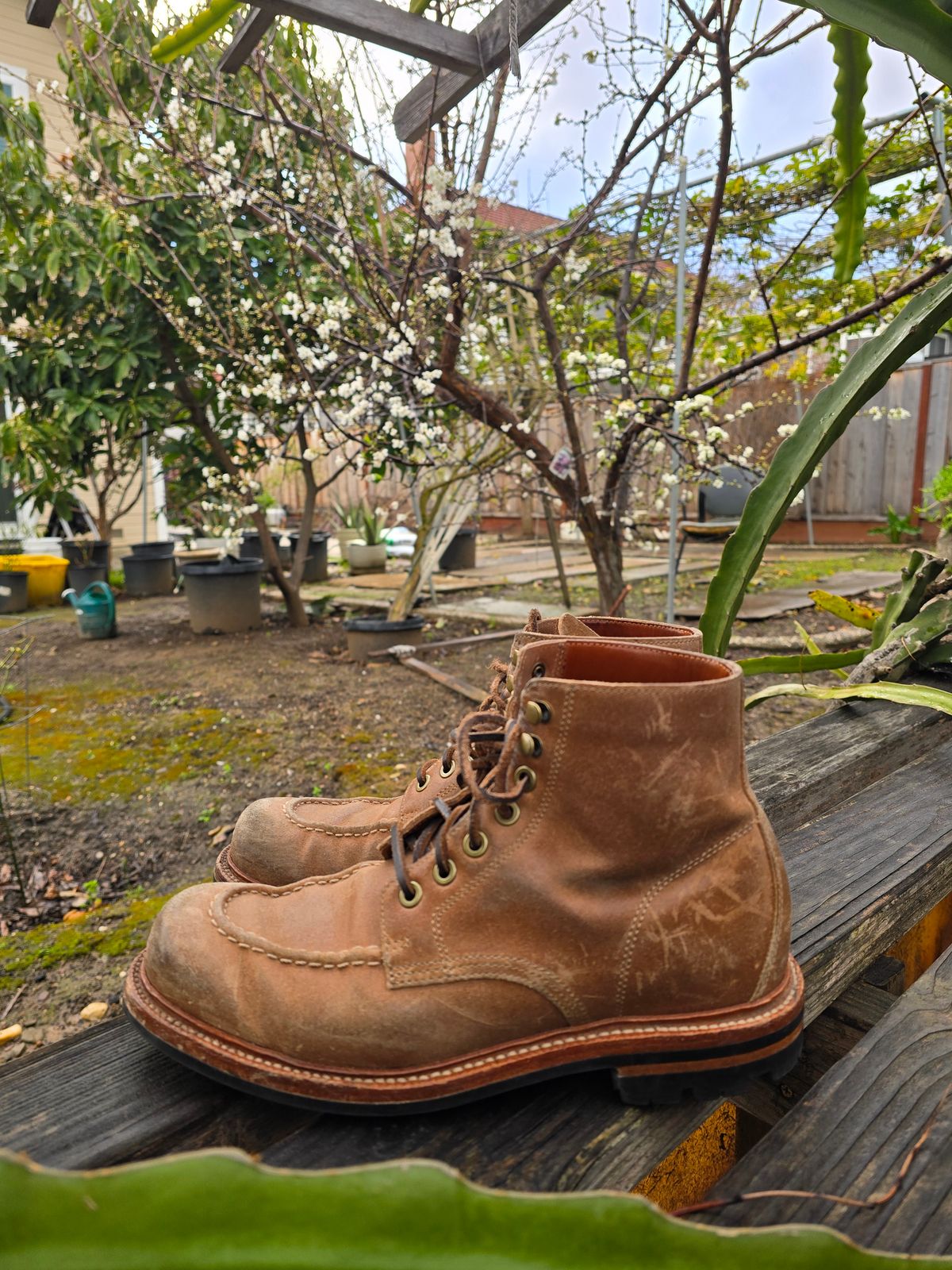 Photo by ttruong3 on March 4, 2024 of the Grant Stone Brass Boot in C.F. Stead Natural Waxy Commander Suede.