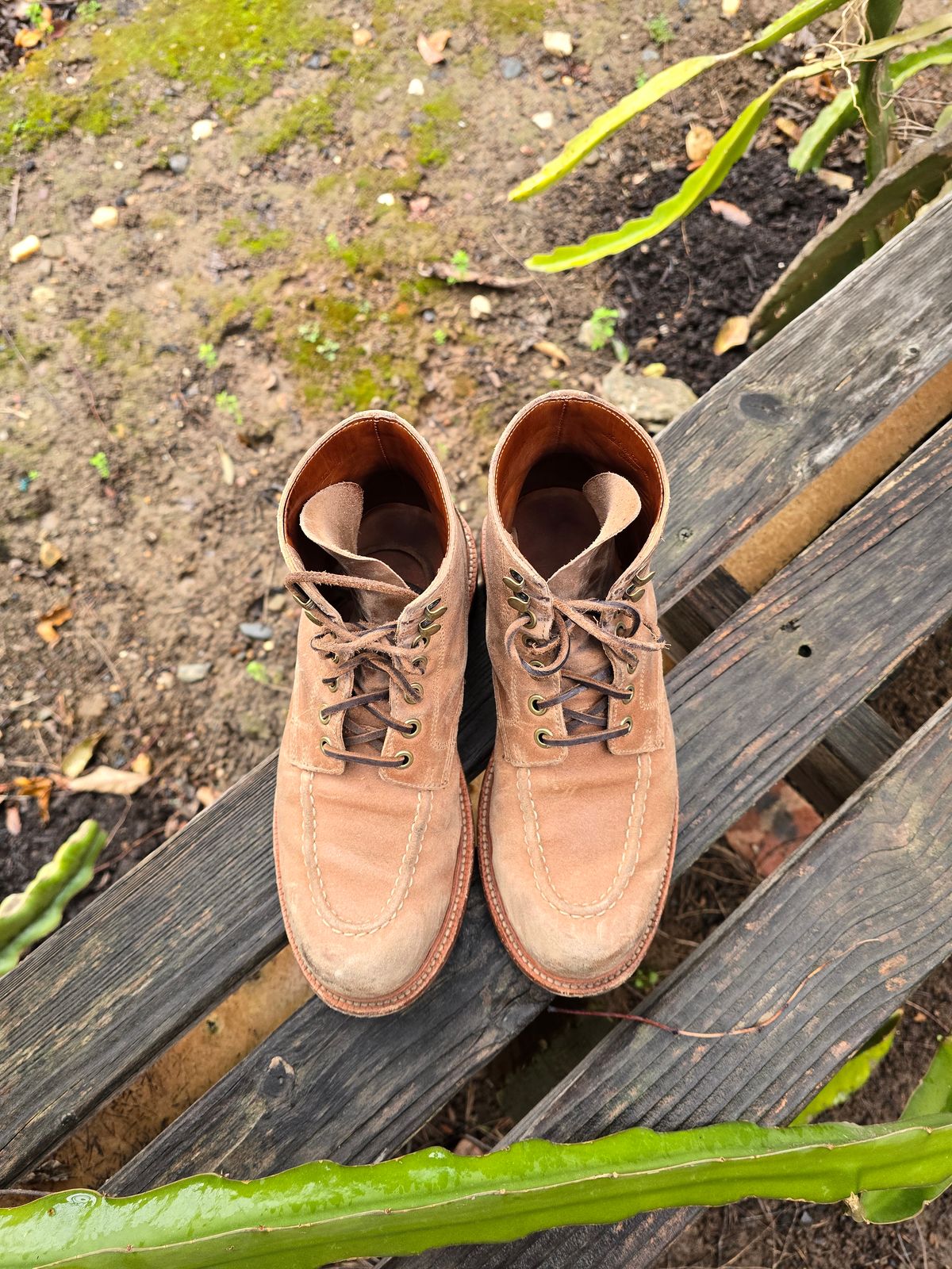 Photo by ttruong3 on March 4, 2024 of the Grant Stone Brass Boot in C.F. Stead Natural Waxy Commander Suede.