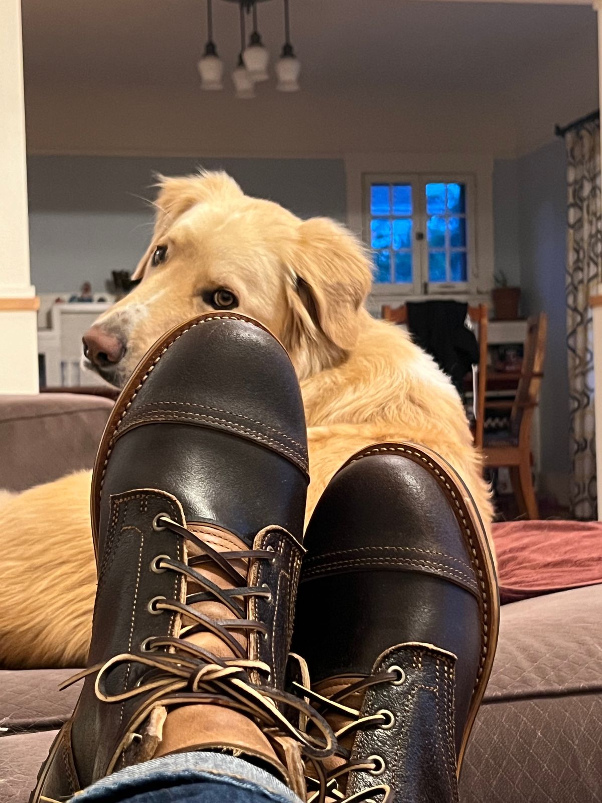 Photo by bloomzen on May 18, 2024 of the Truman Cap Toe Boot in Horween Java Waxed Flesh.