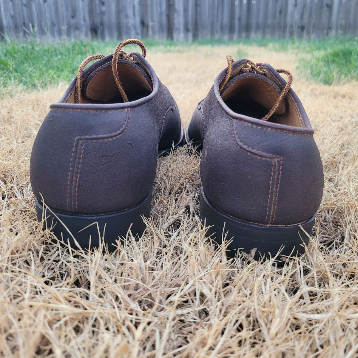 Photo by Das_Bones on July 9, 2024 of the Viberg Derby Shoe in C.F. Stead Angora Kudu Roughout.