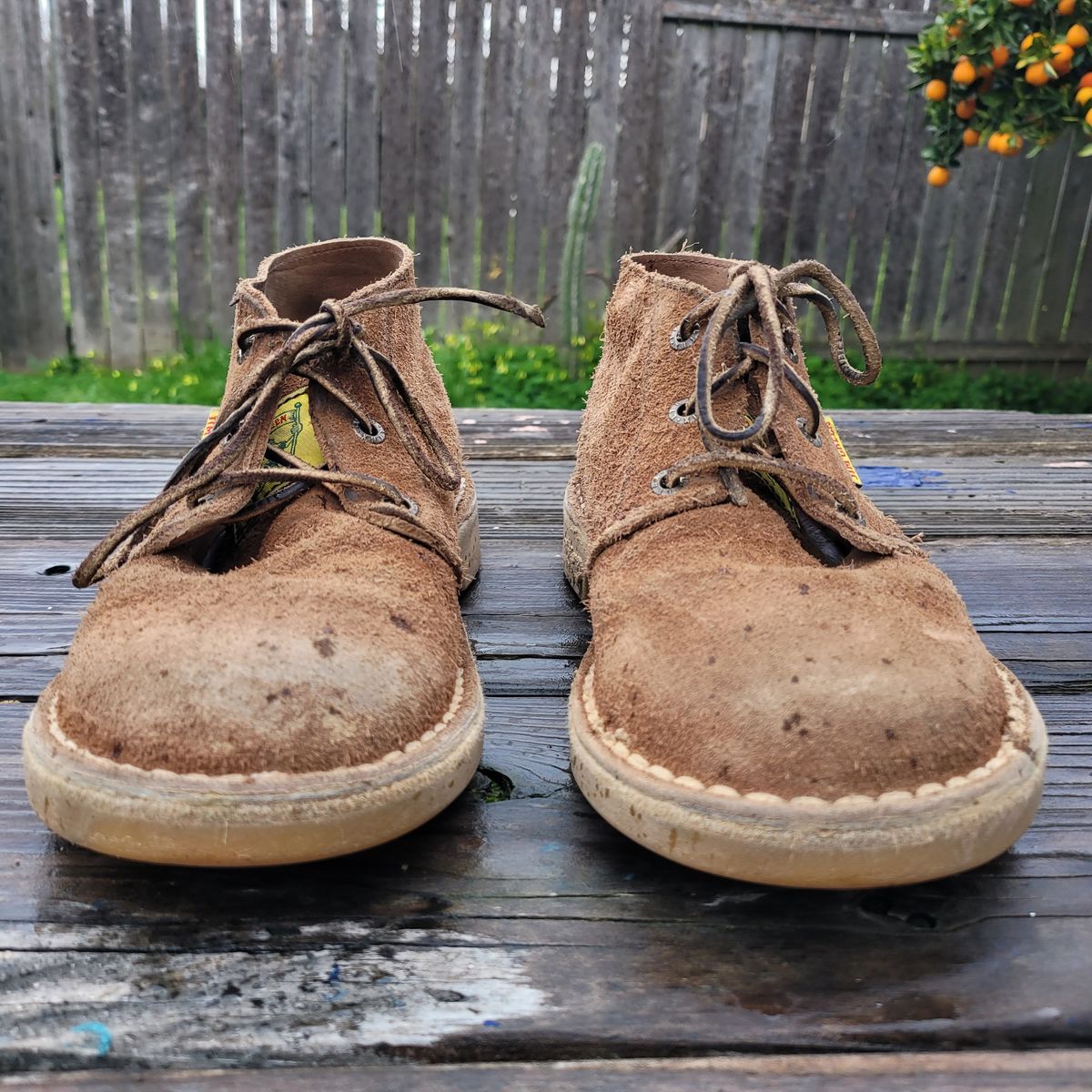 Photo by Das_Bones on March 3, 2024 of the Jim Green Vellie in Chestnut Tan Full Grain.