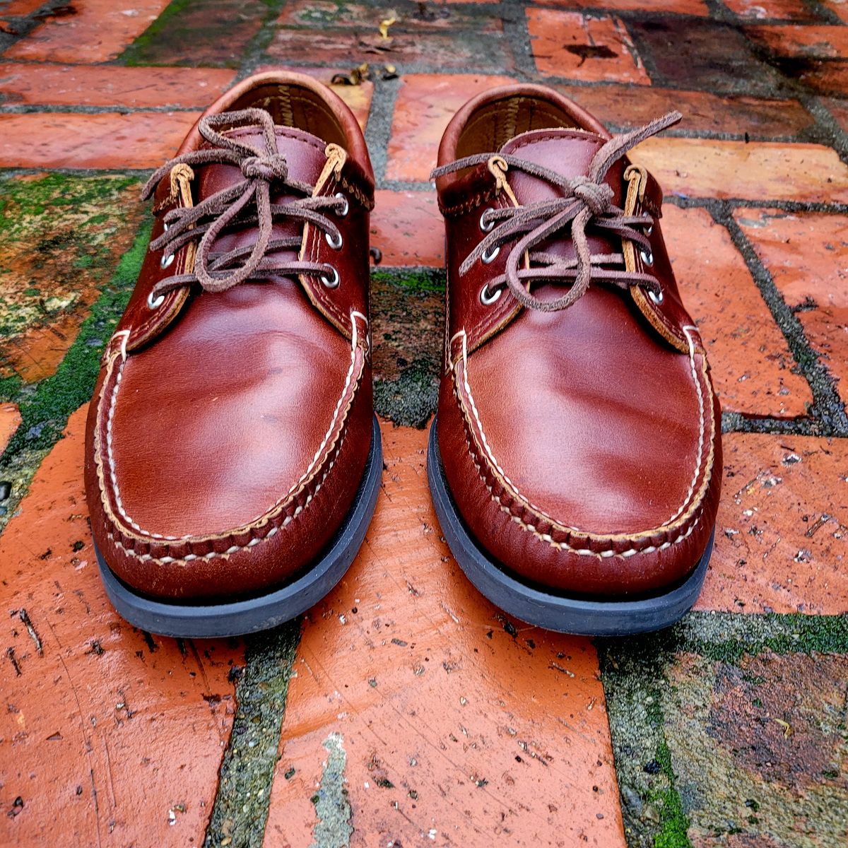 Photo by Das_Bones on December 30, 2023 of the Quoddy Blucher in Unknown Leather.