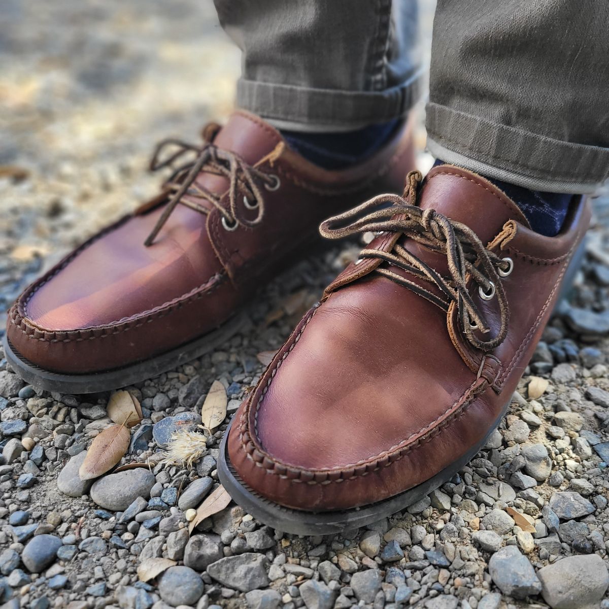 Photo by Das_Bones on July 2, 2024 of the Quoddy Blucher in Unknown Leather.