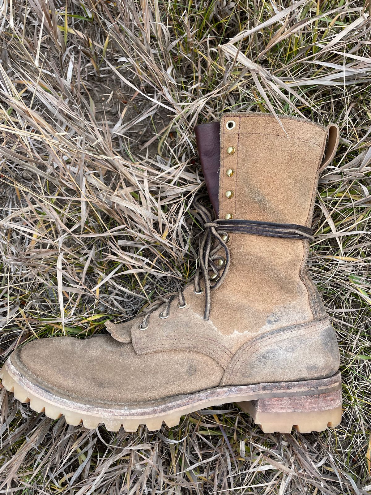 Photo by RunningBearWest on November 5, 2022 of the Nicks BuilderPro in Seidel MaxSupport Tan Roughout.
