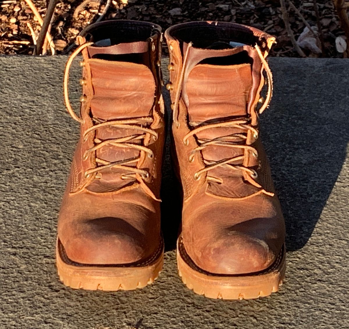 Photo by StumpysBoots on February 6, 2024 of the Nicks MTO in Horween Whiskey Predator.