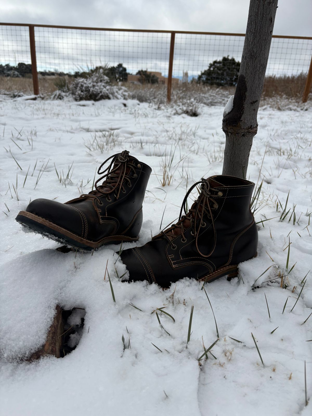 Photo by chosenone23 on December 4, 2025 of the Truman Cap Toe Boot in Horween Java Waxed Flesh.